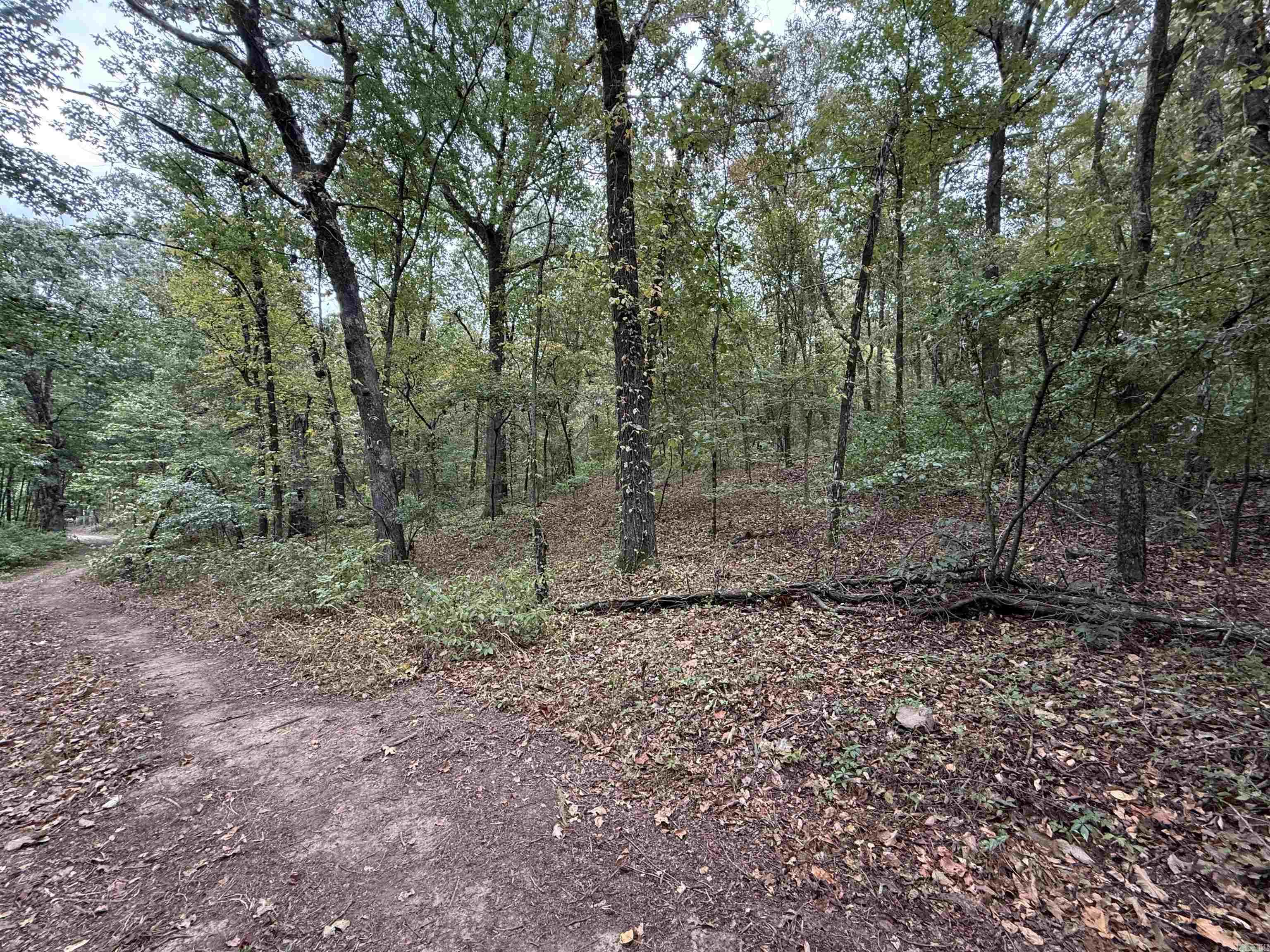 000 County Road 2291 Property Photo 7