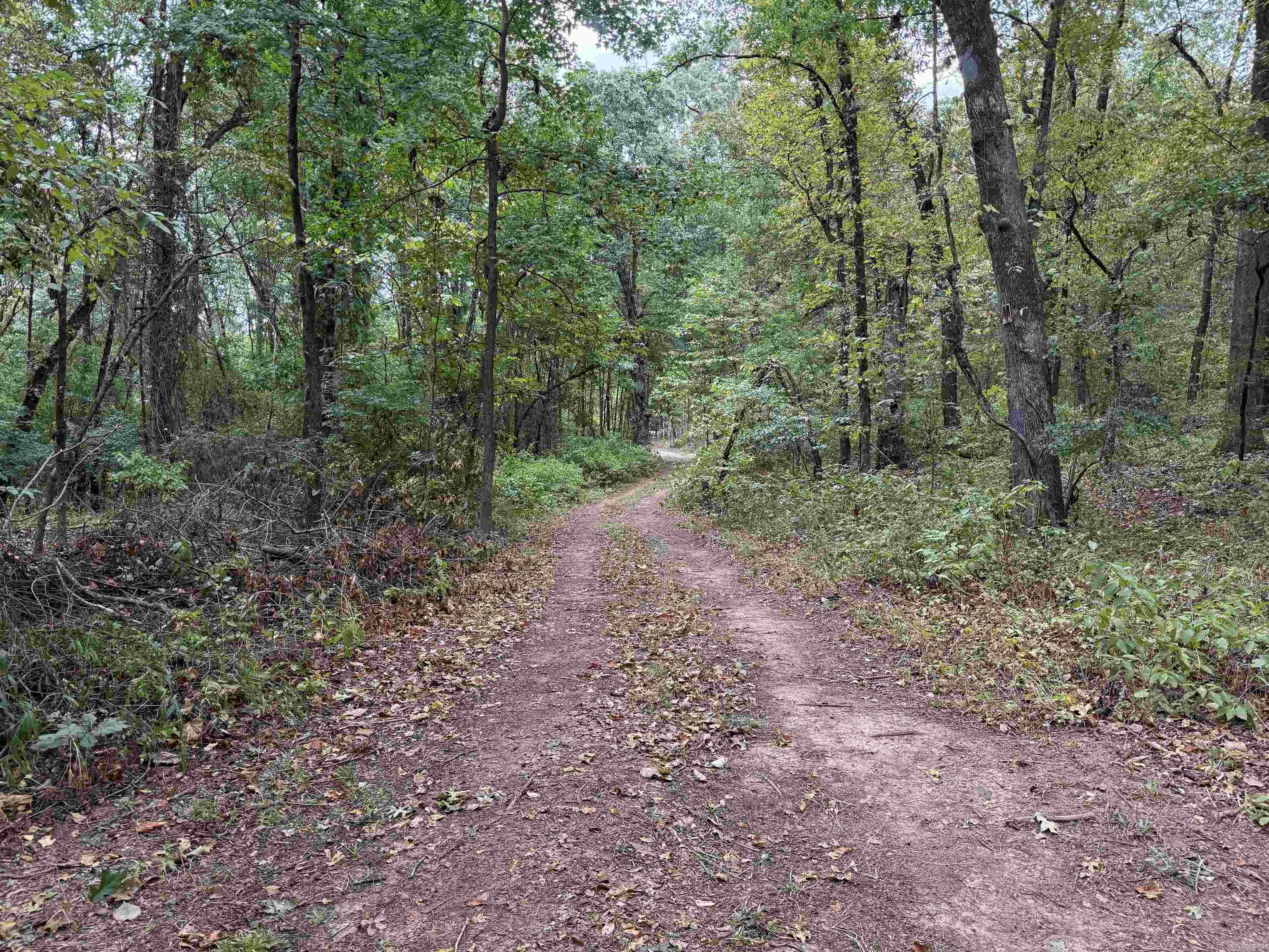000 County Road 2291 Property Photo 8