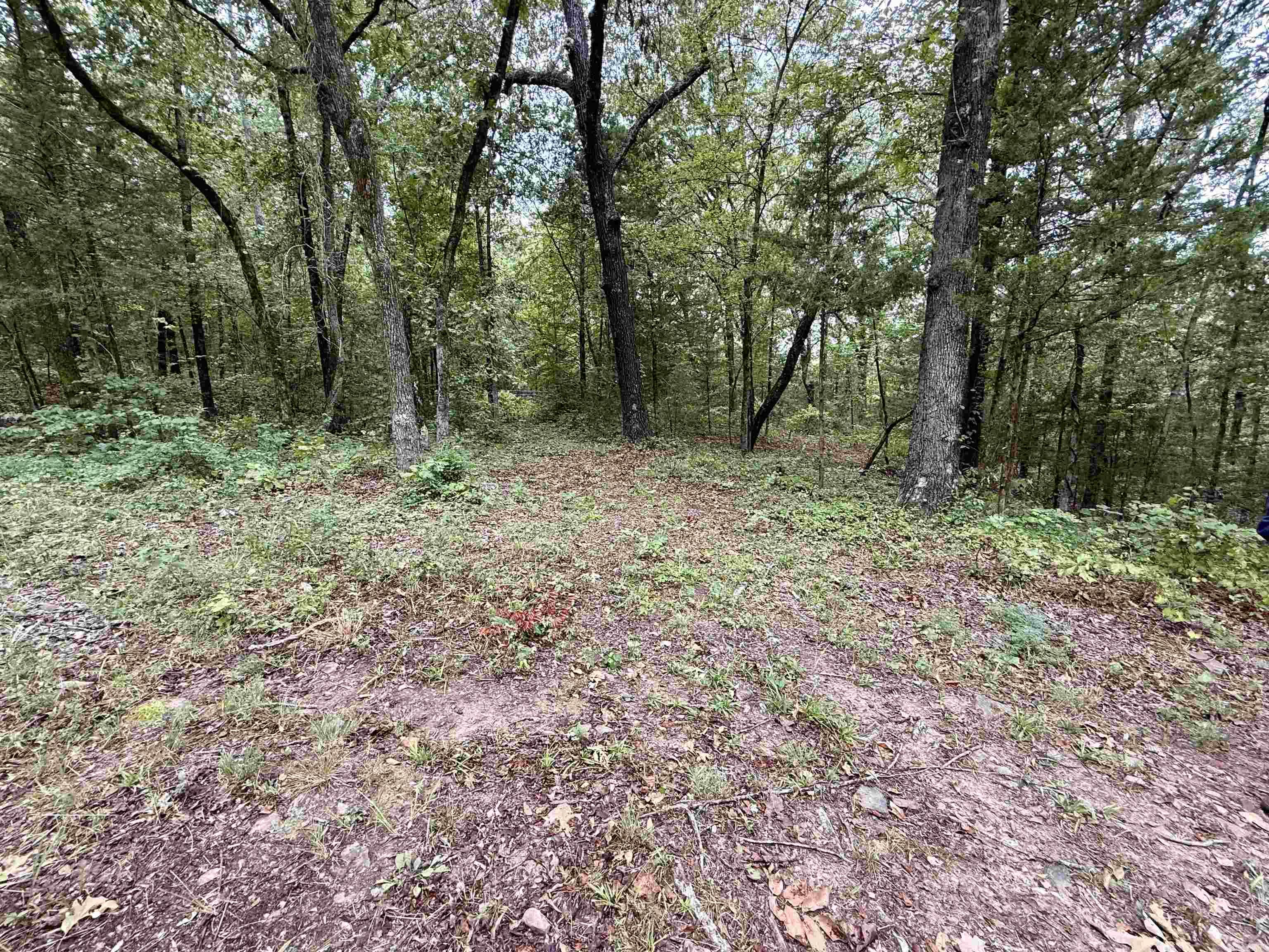 000 County Road 2291 Property Photo 15