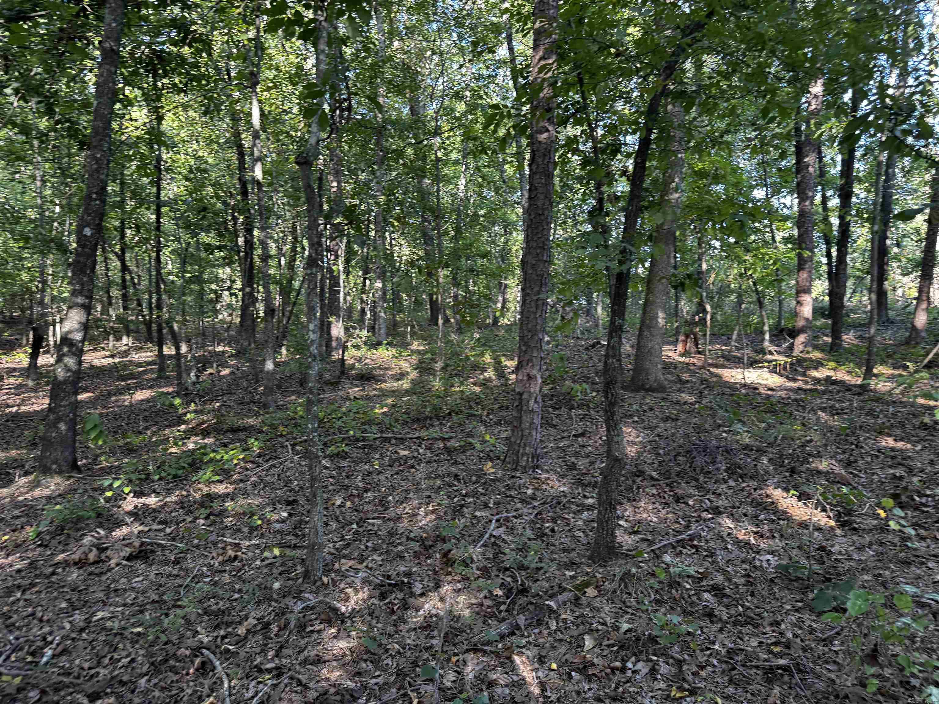 0 N Avilla Heights Road Property Photo 10