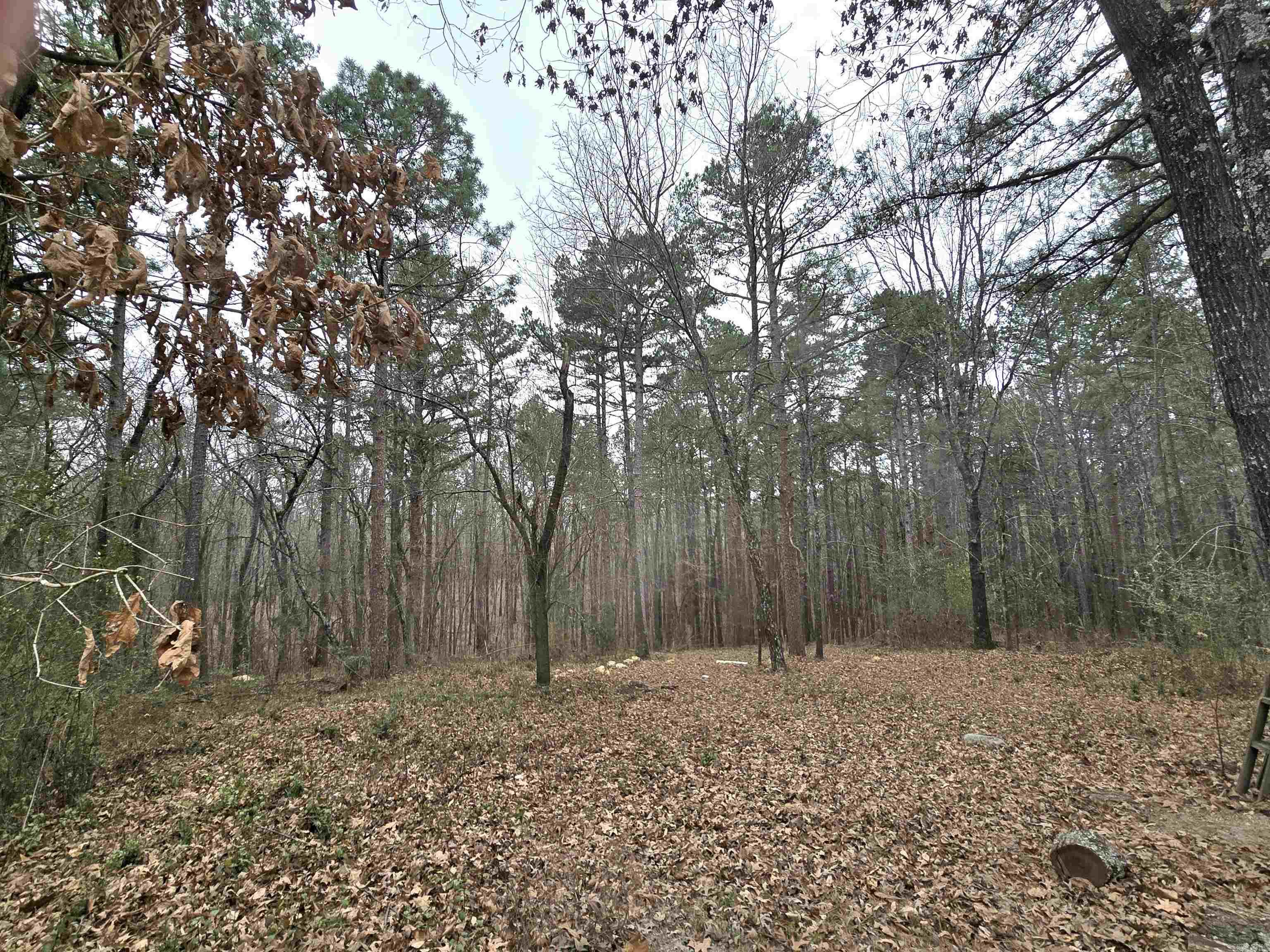 994 Sawmill Road Property Photo 44