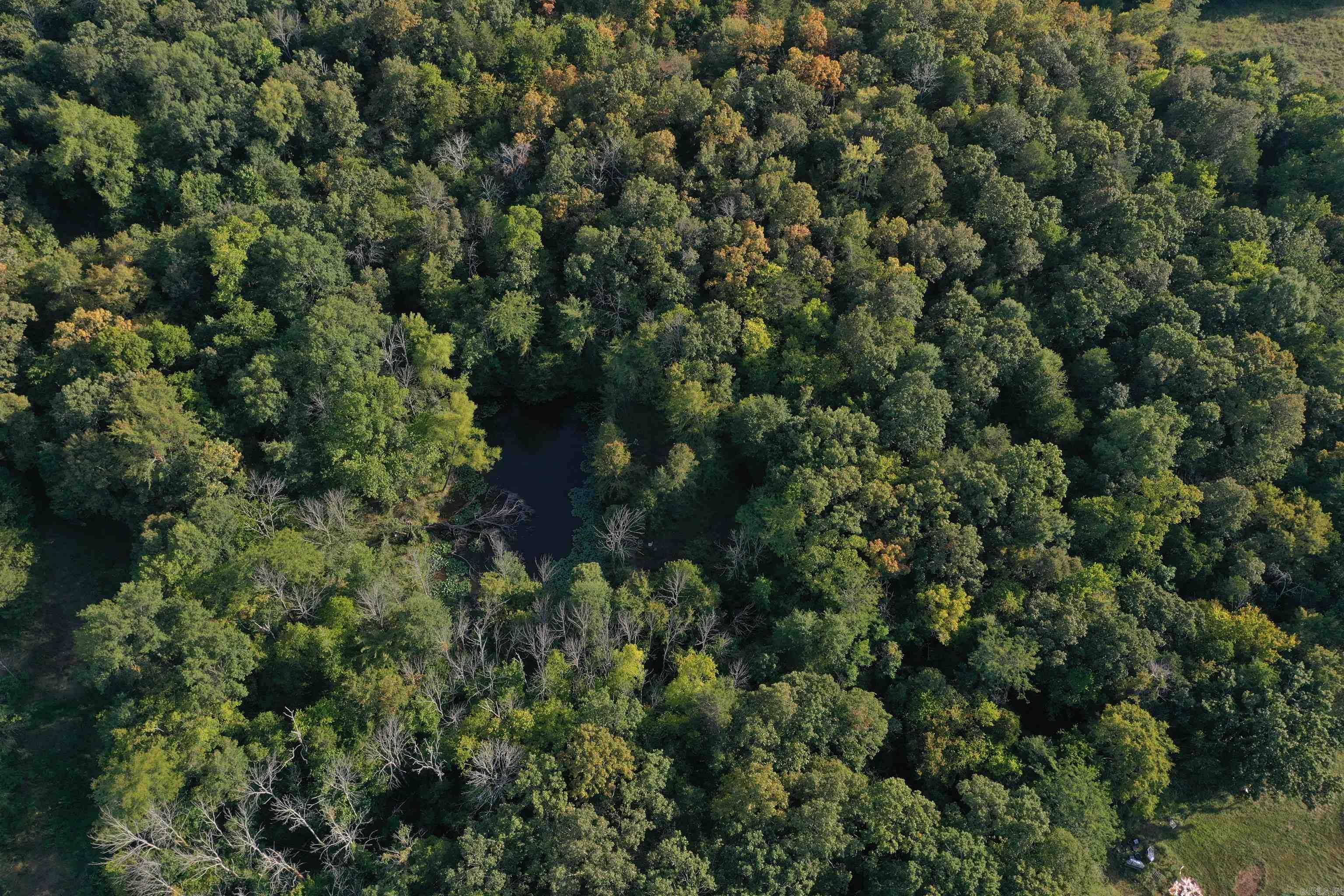 2093 Hwy 88 Property Photo 5