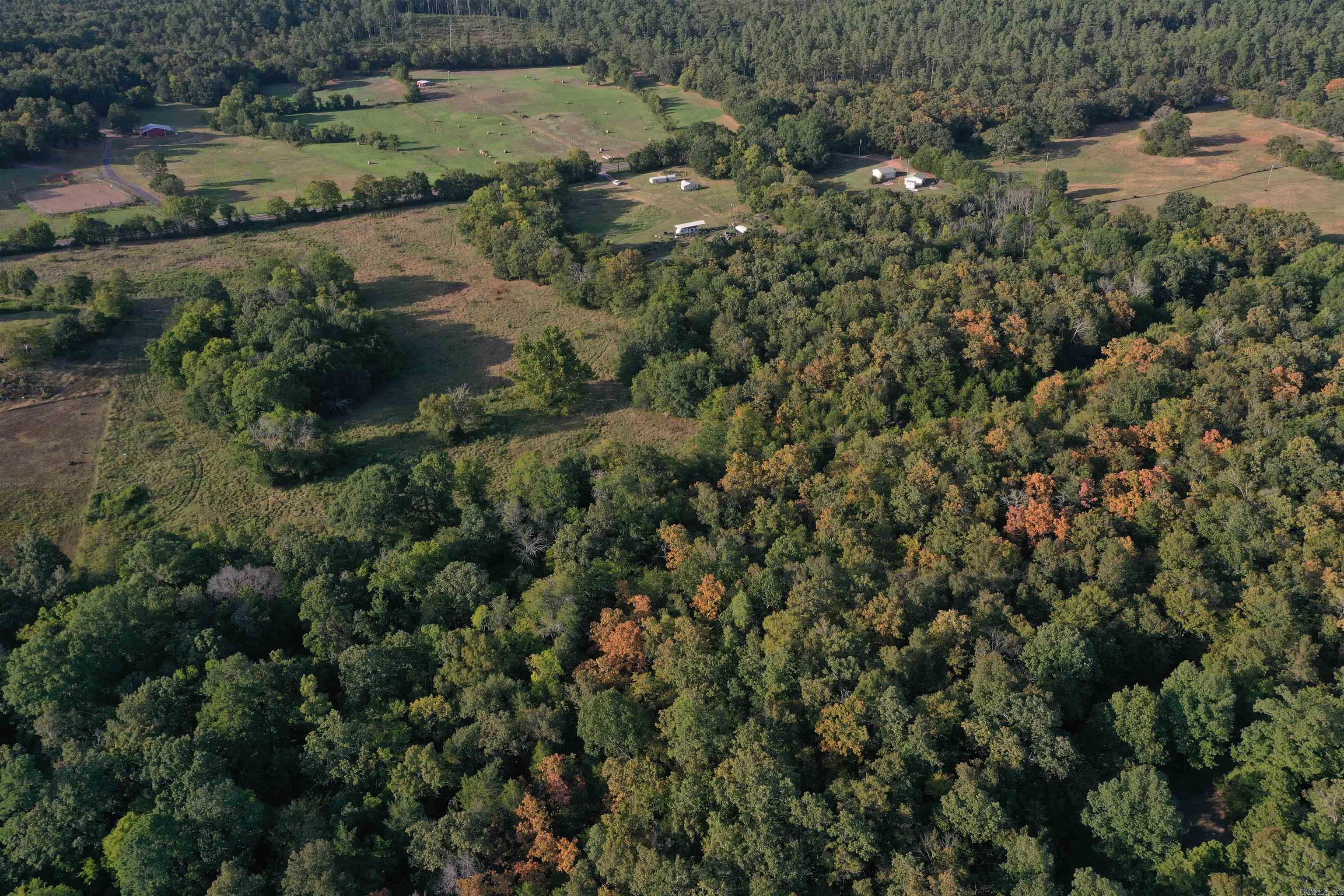 2093 Hwy 88 Property Photo 9