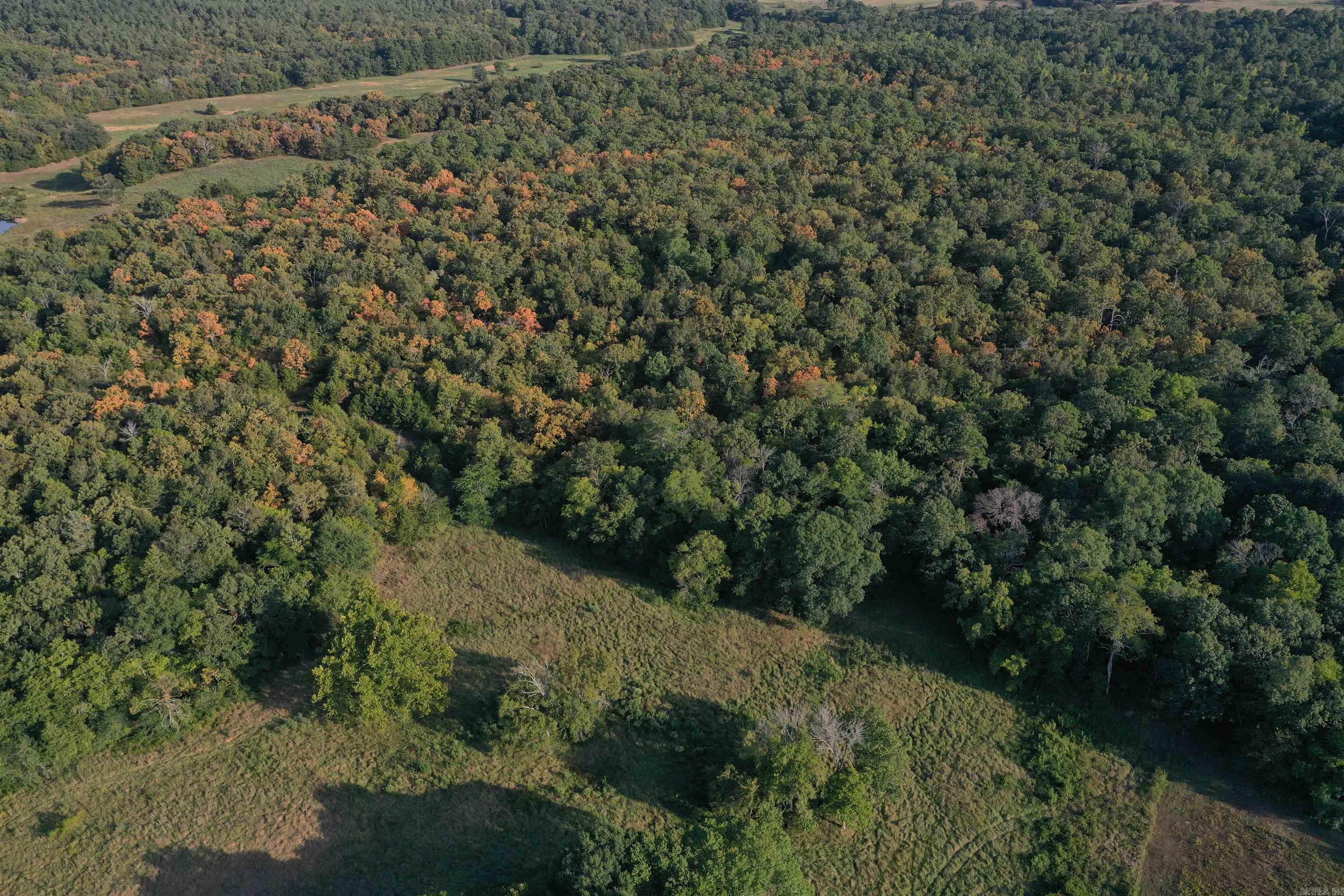 2093 Hwy 88 Property Photo 13