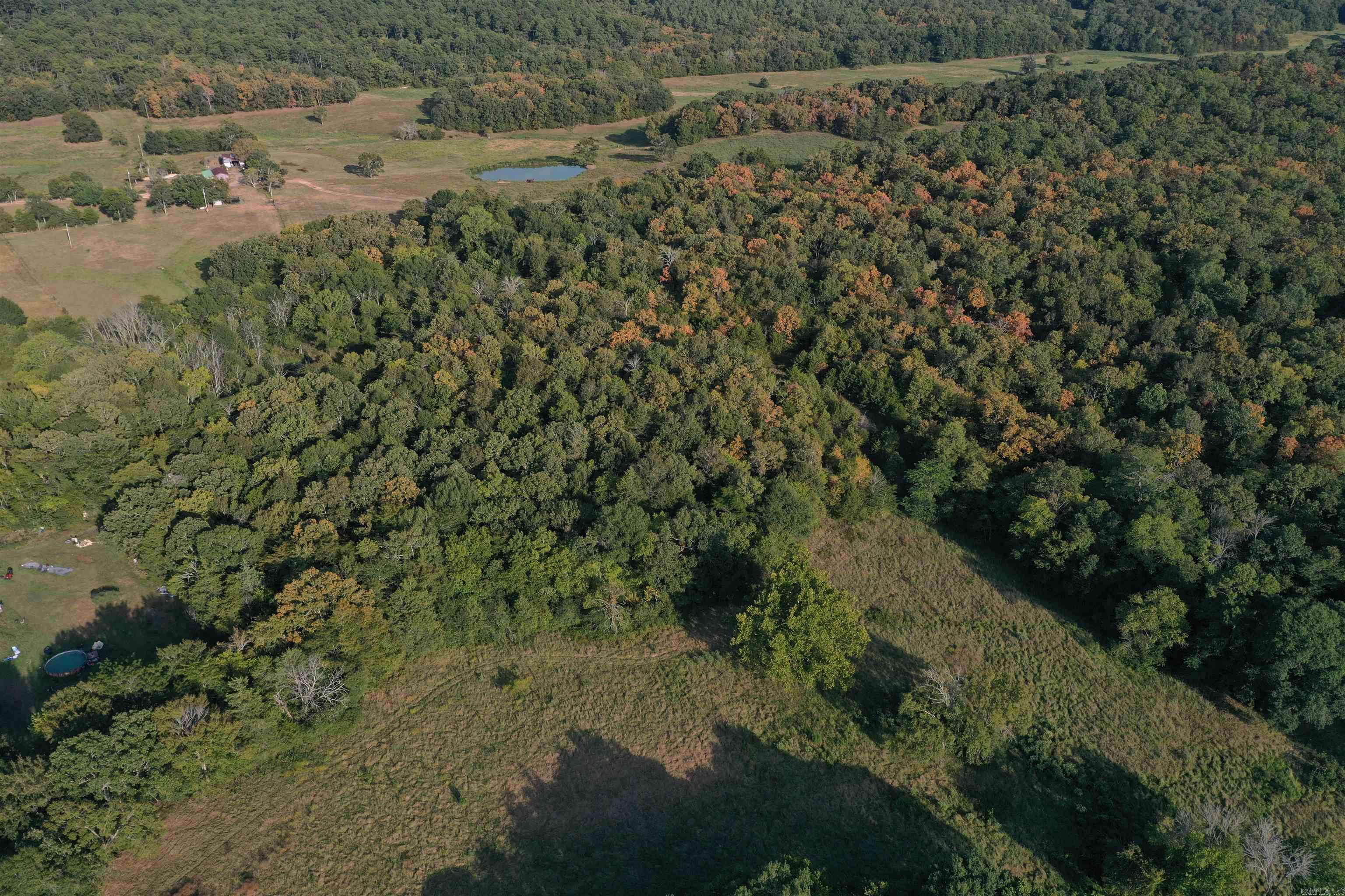 2093 Hwy 88 Property Photo 14