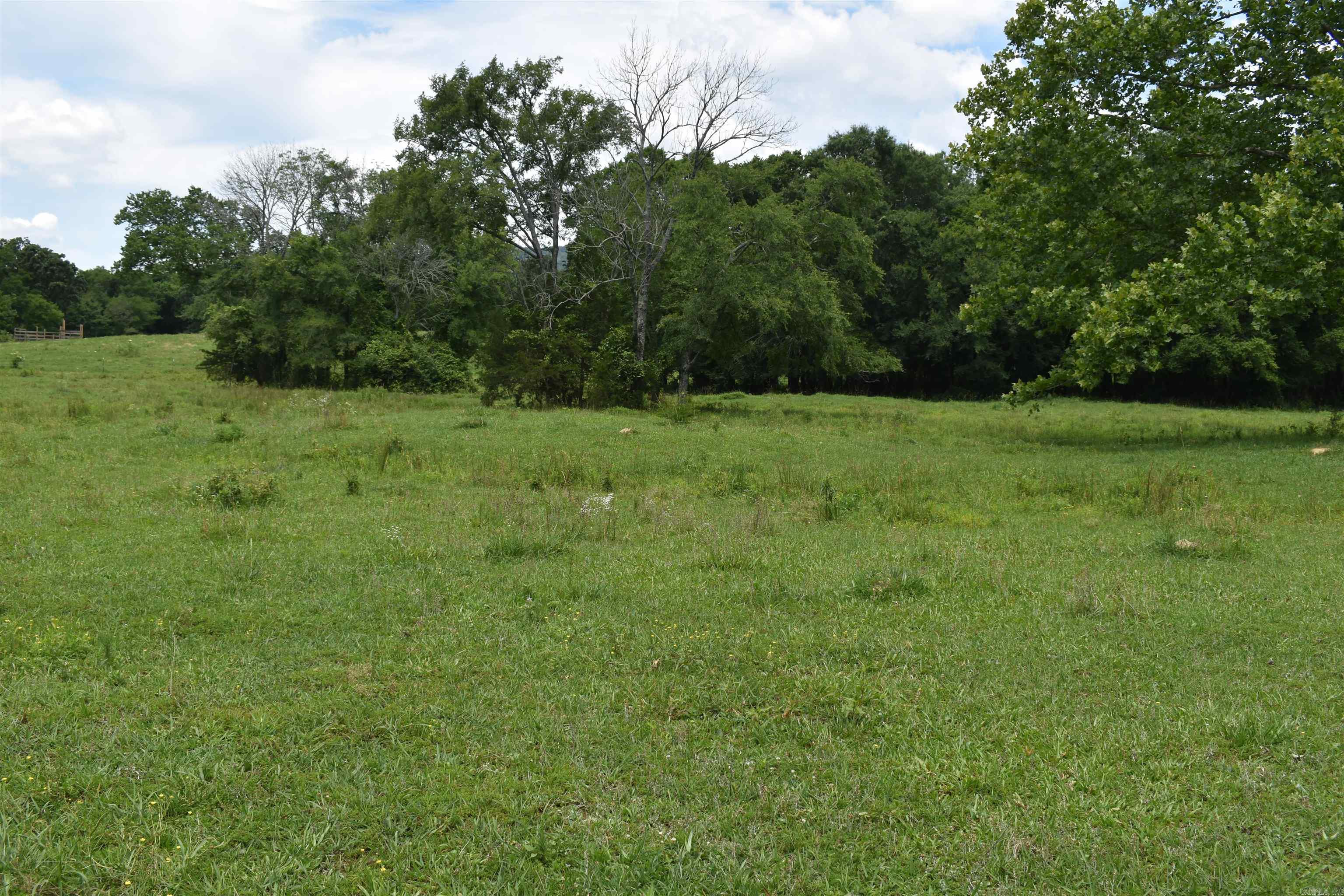2093 Hwy 88 Property Photo 16