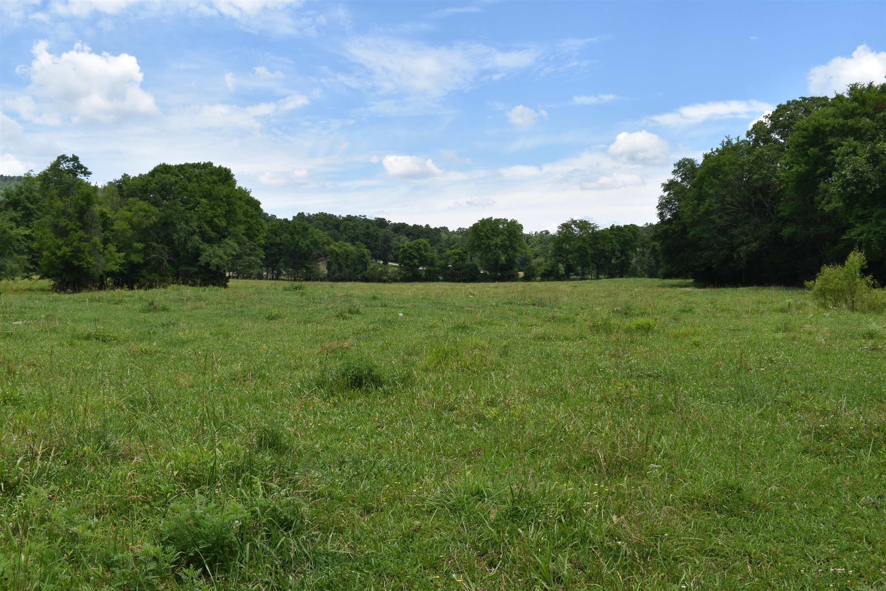 2093 Hwy 88 Property Photo 17