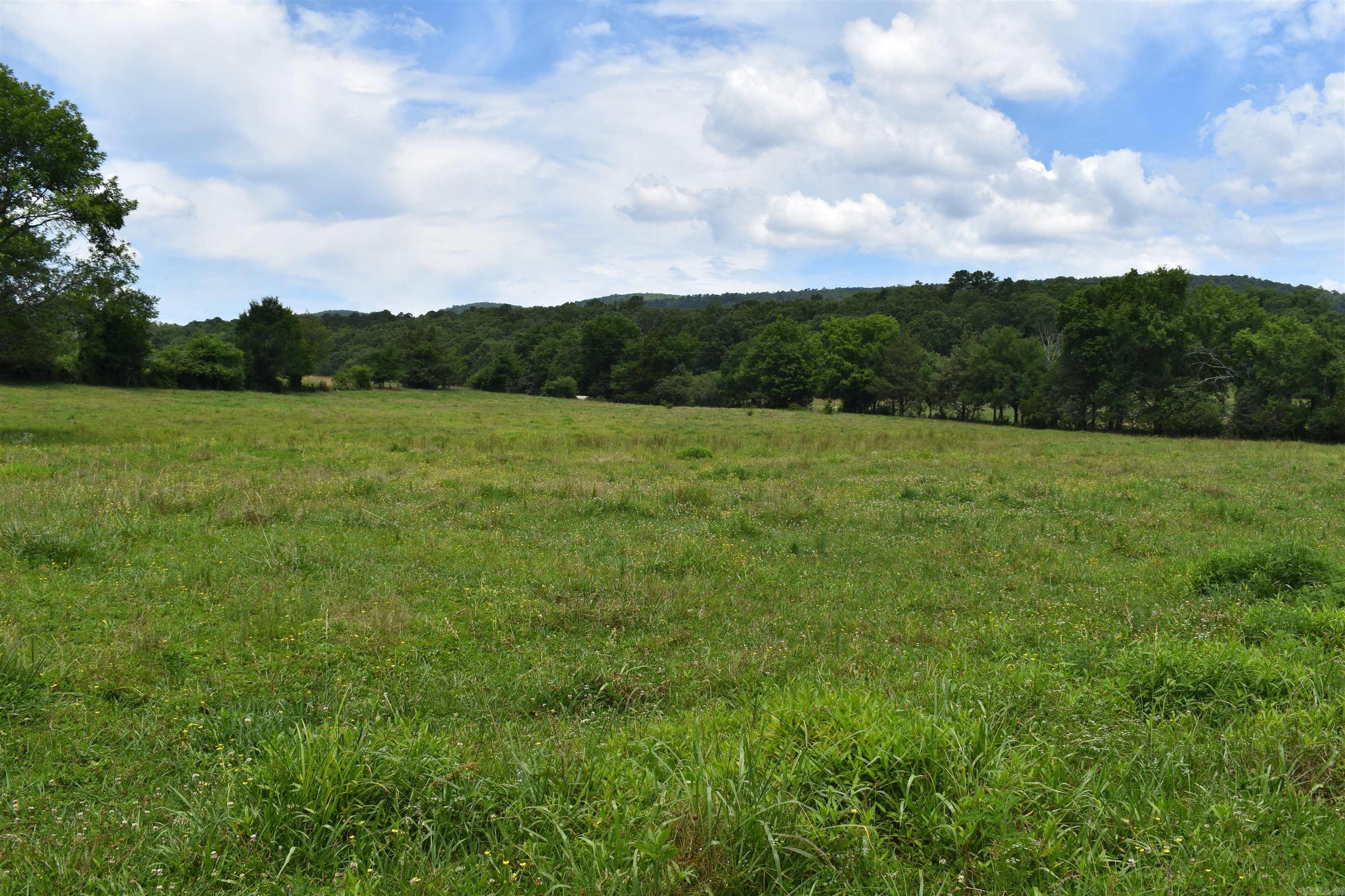 2093 Hwy 88 Property Photo 18
