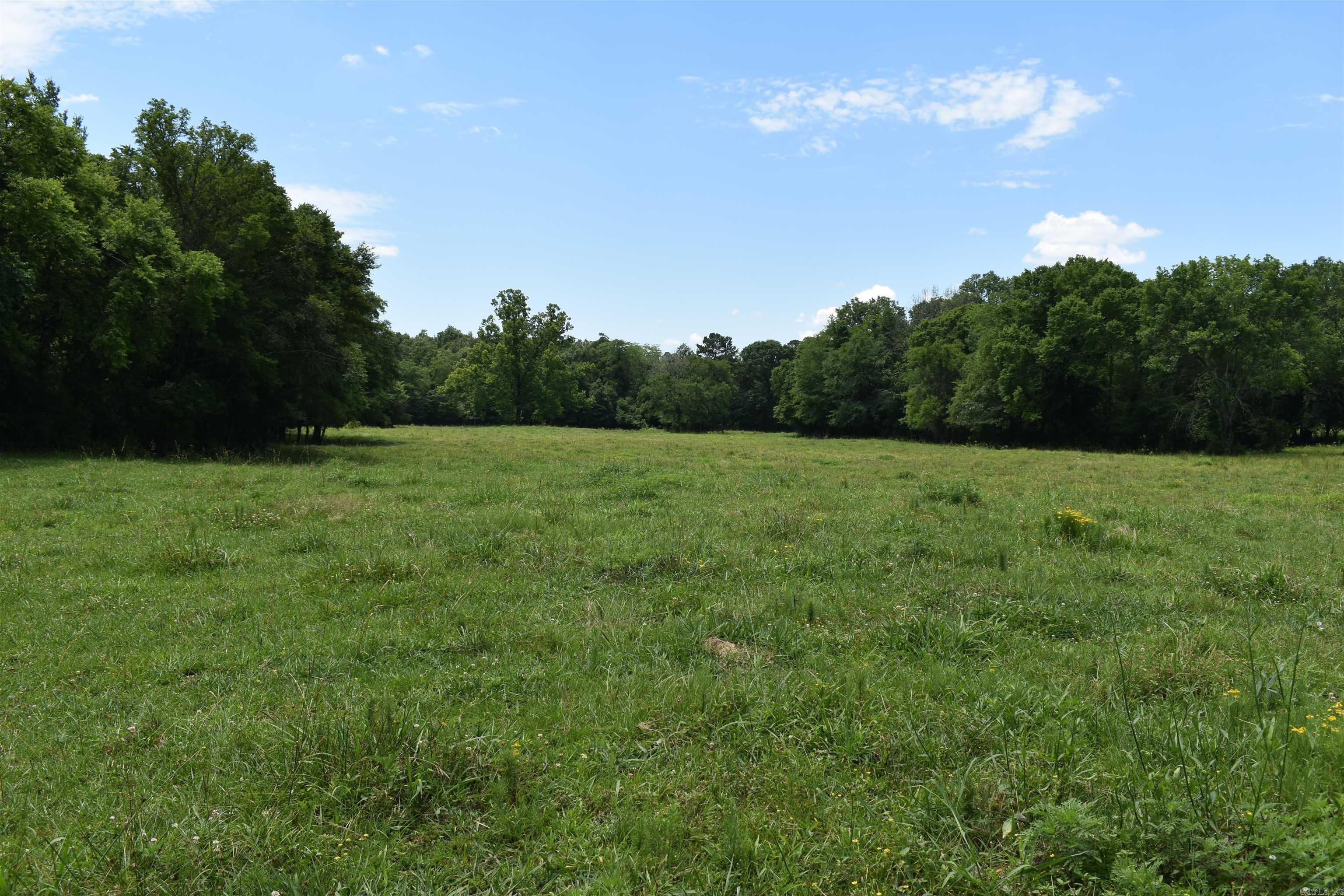 2093 Hwy 88 Property Photo 19