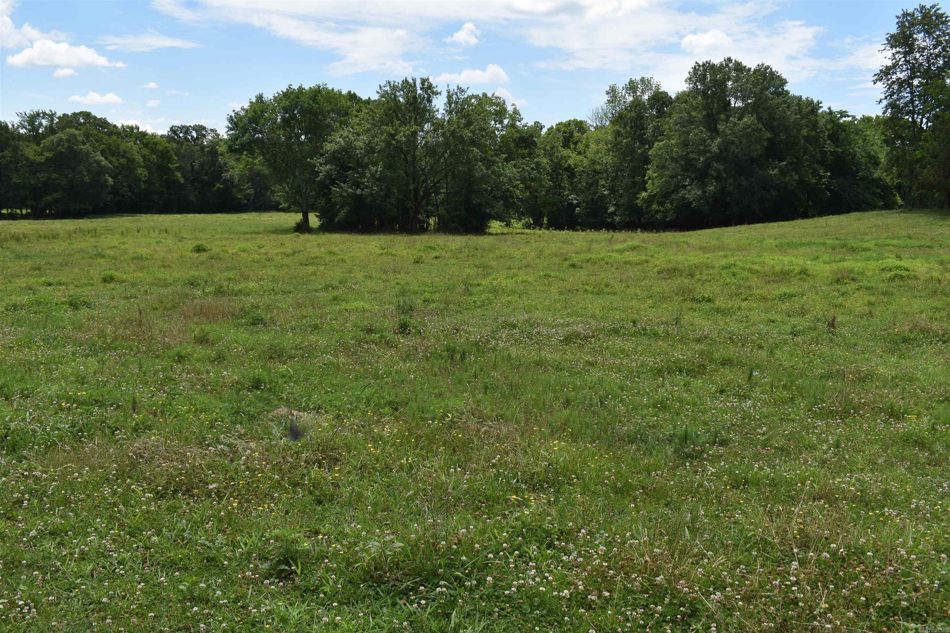 2093 Hwy 88 Property Photo 20
