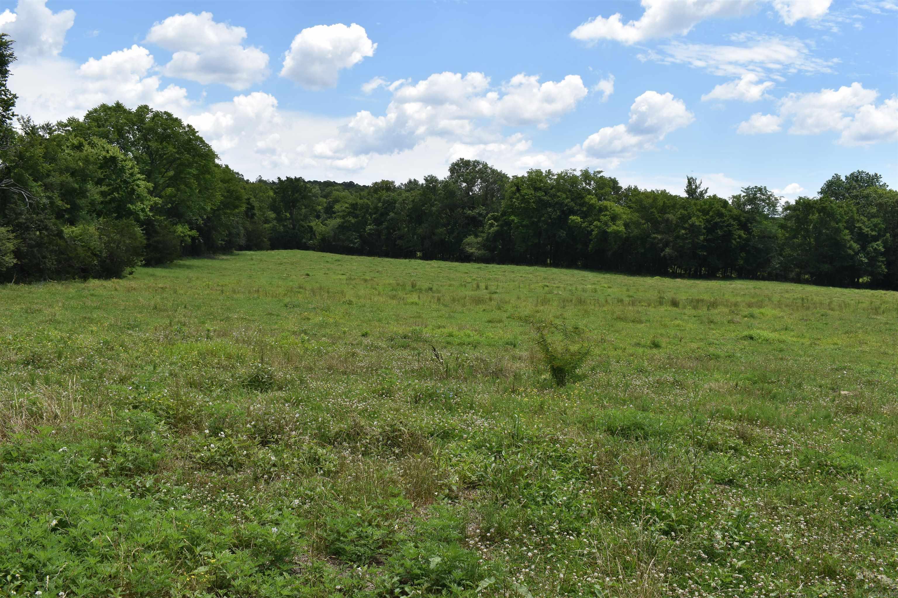 2093 Hwy 88 Property Photo 21