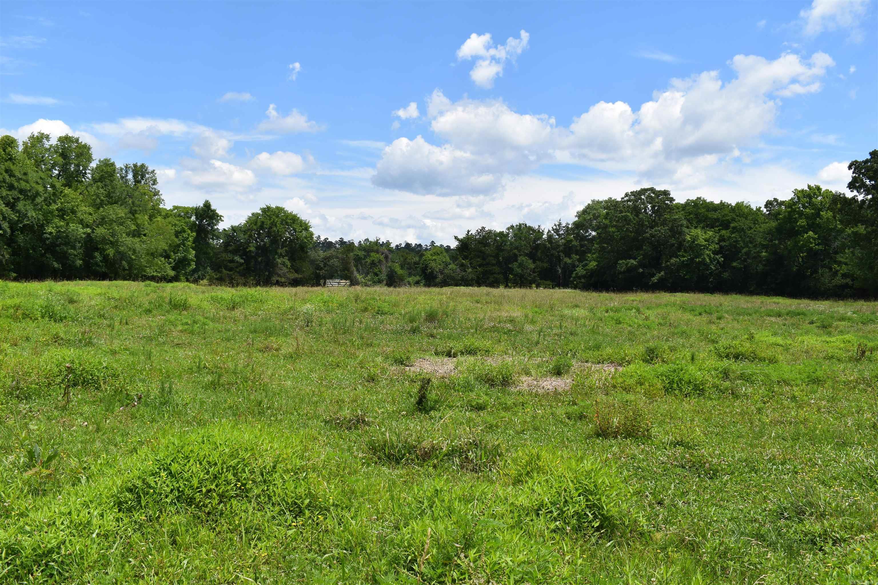 2093 Hwy 88 Property Photo 22