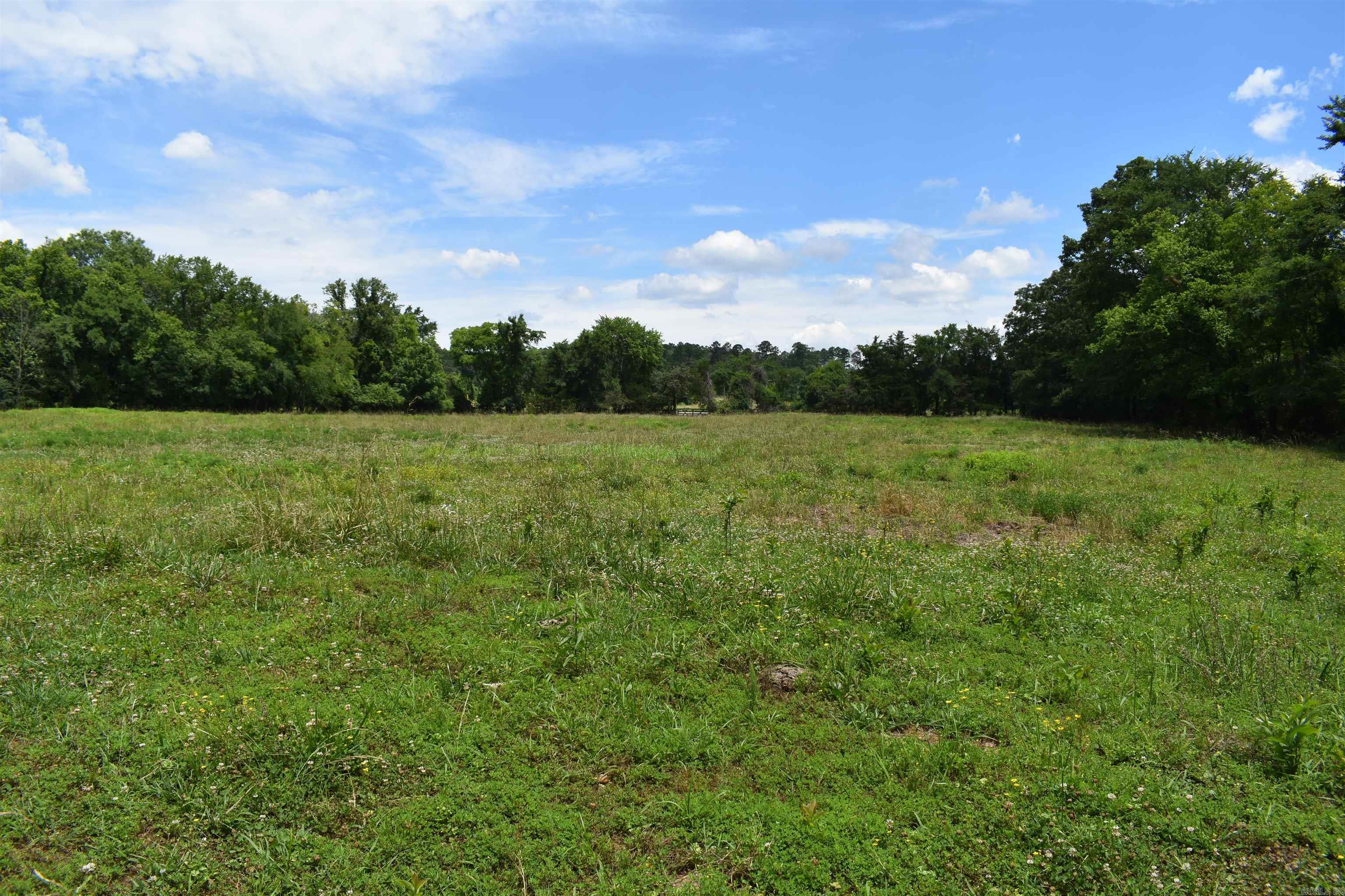 2093 Hwy 88 Property Photo 23