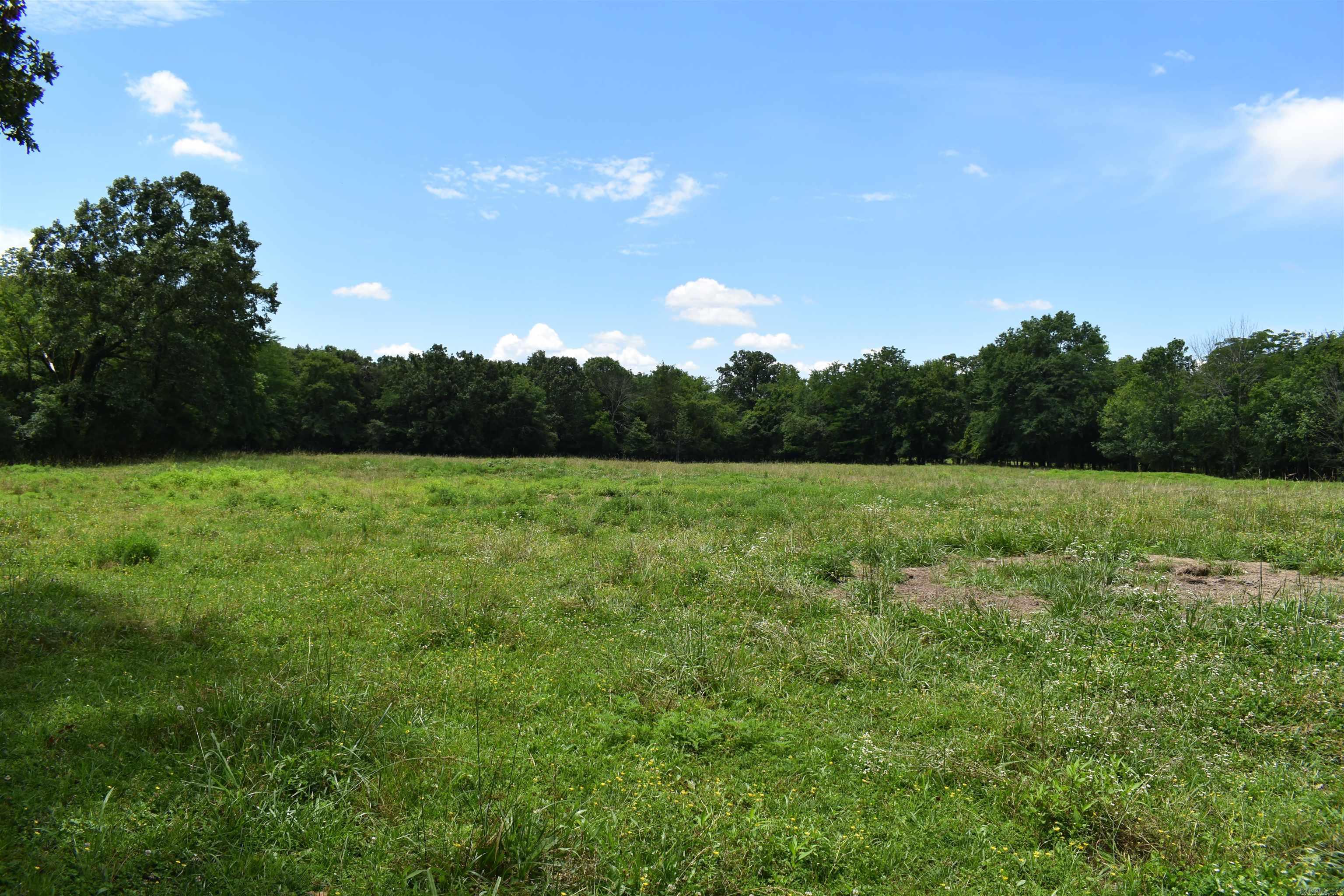 2093 Hwy 88 Property Photo 25