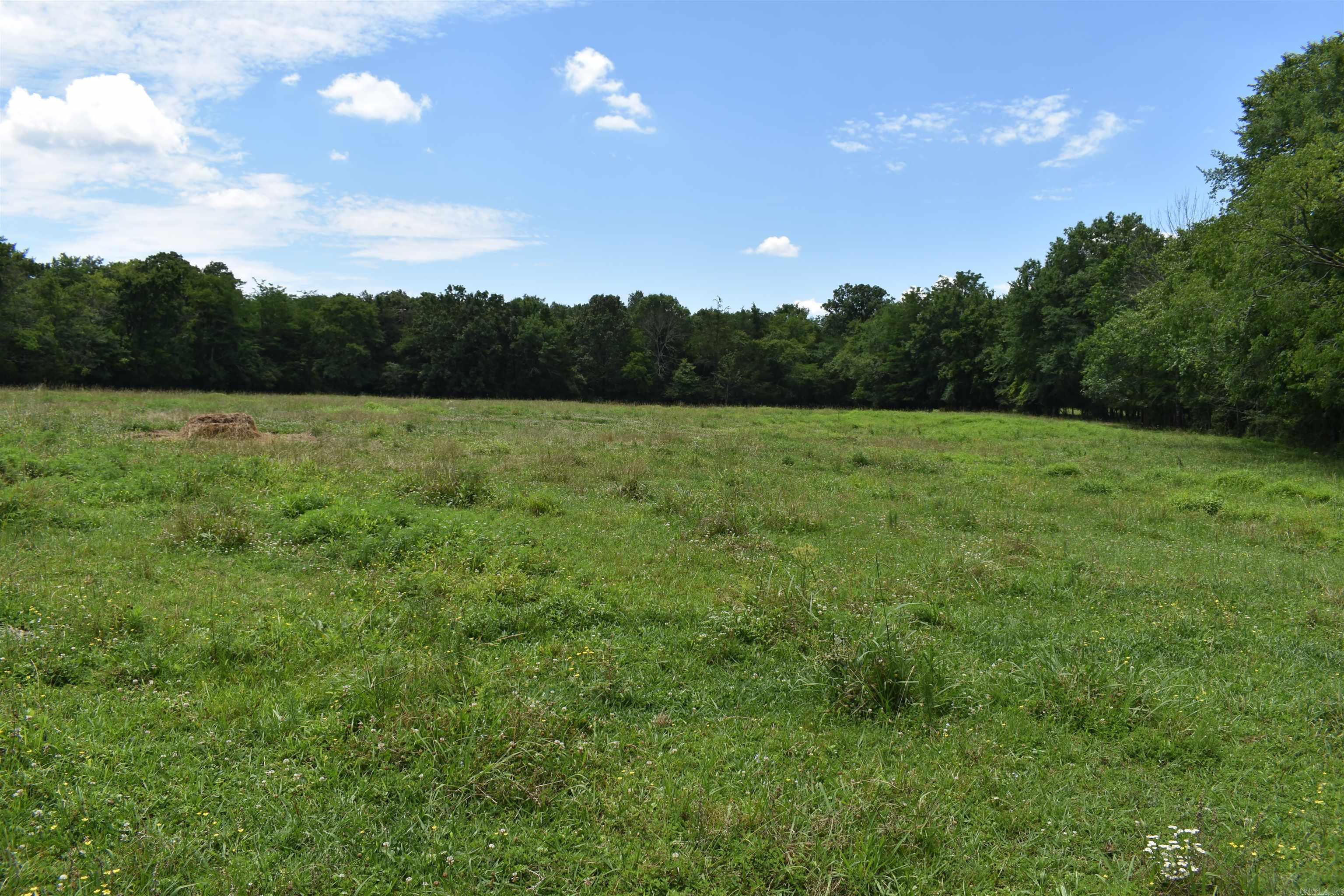 2093 Hwy 88 Property Photo 26