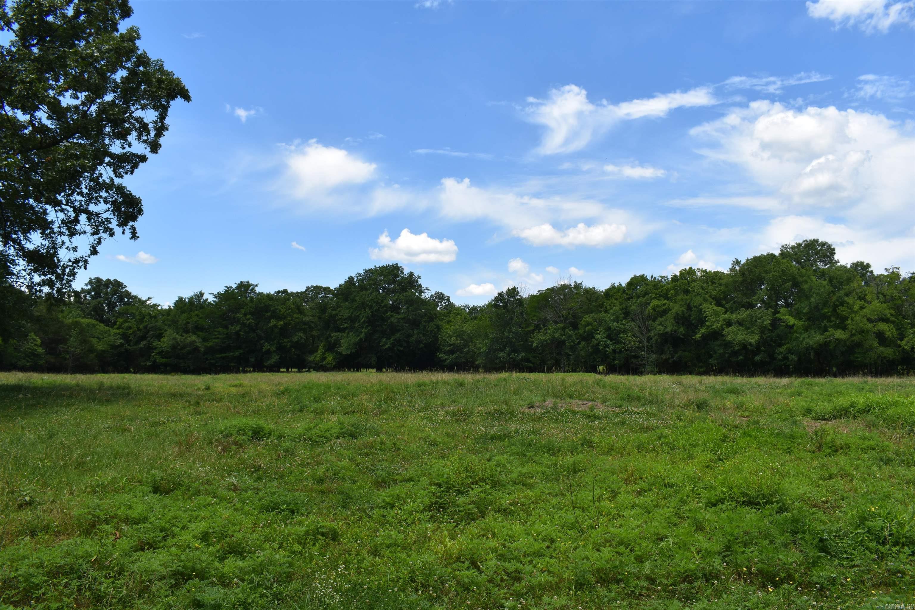 2093 Hwy 88 Property Photo 27