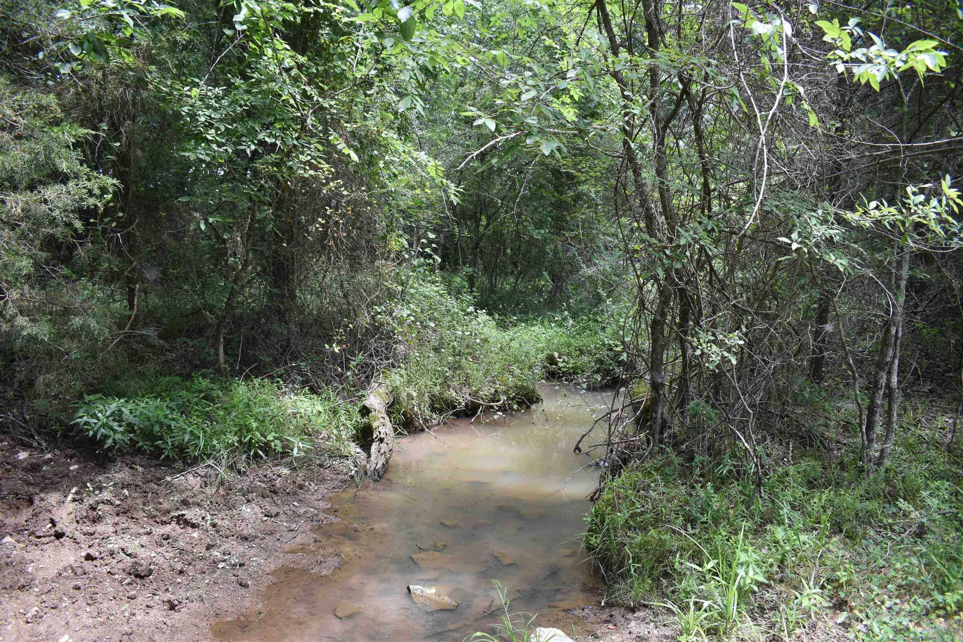 2093 Hwy 88 Property Photo 28