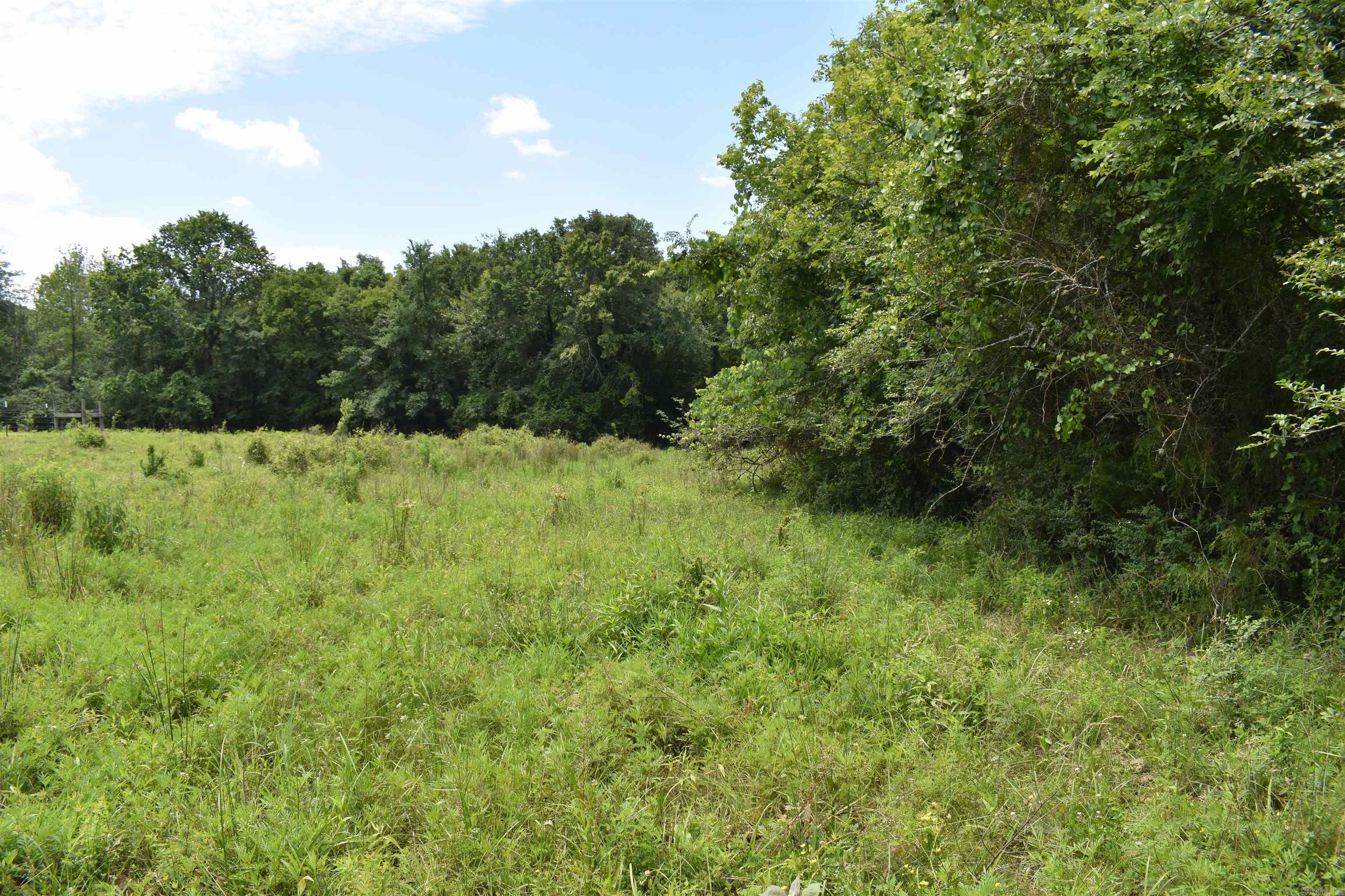 2093 Hwy 88 Property Photo 29