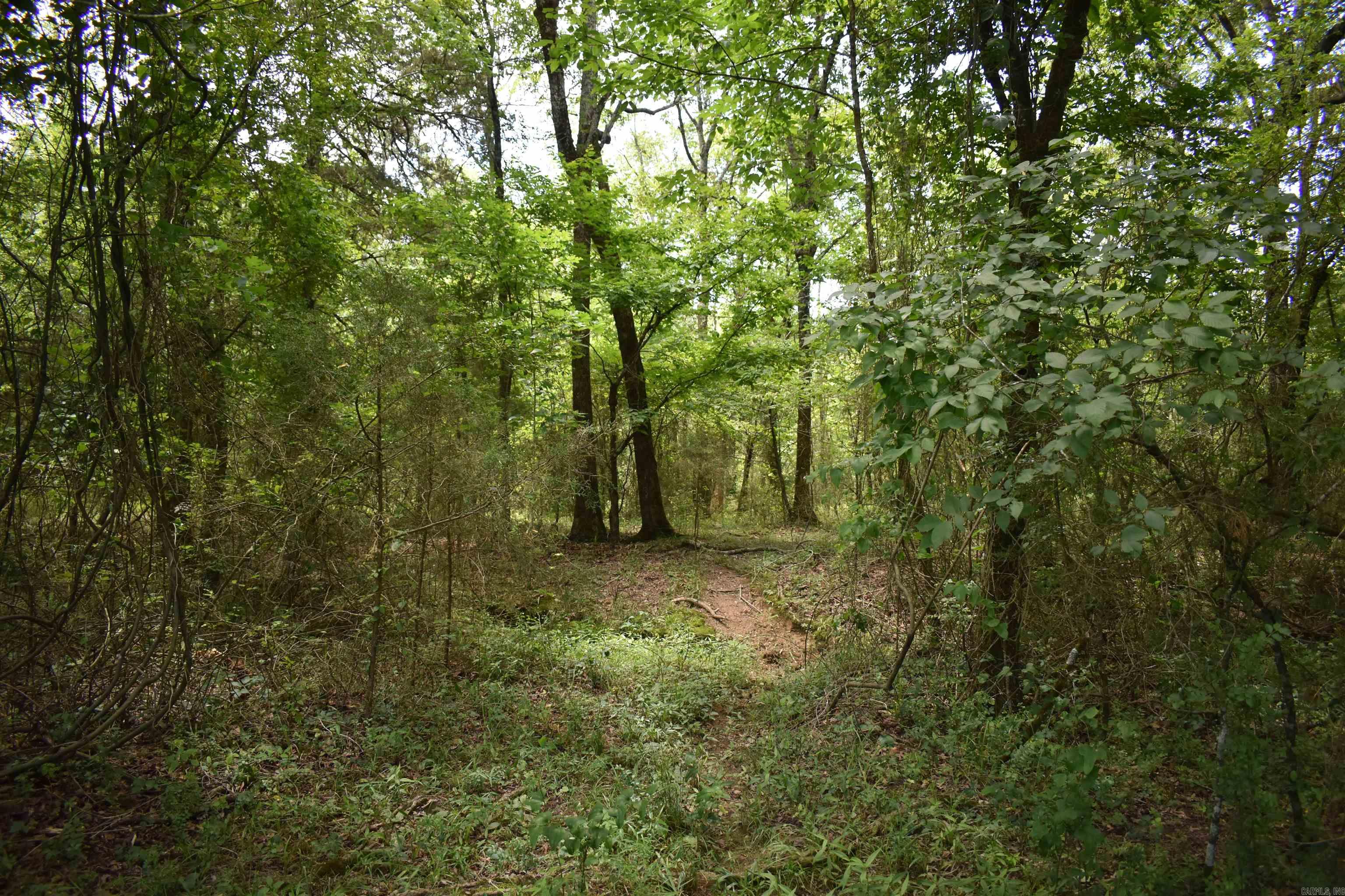 2093 Hwy 88 Property Photo 30