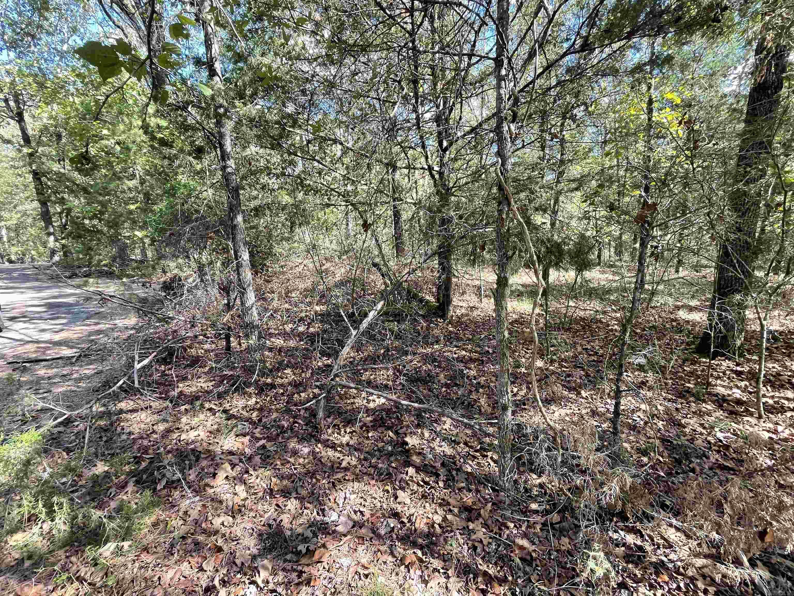 453 Kustrin Dr. Property Photo 5