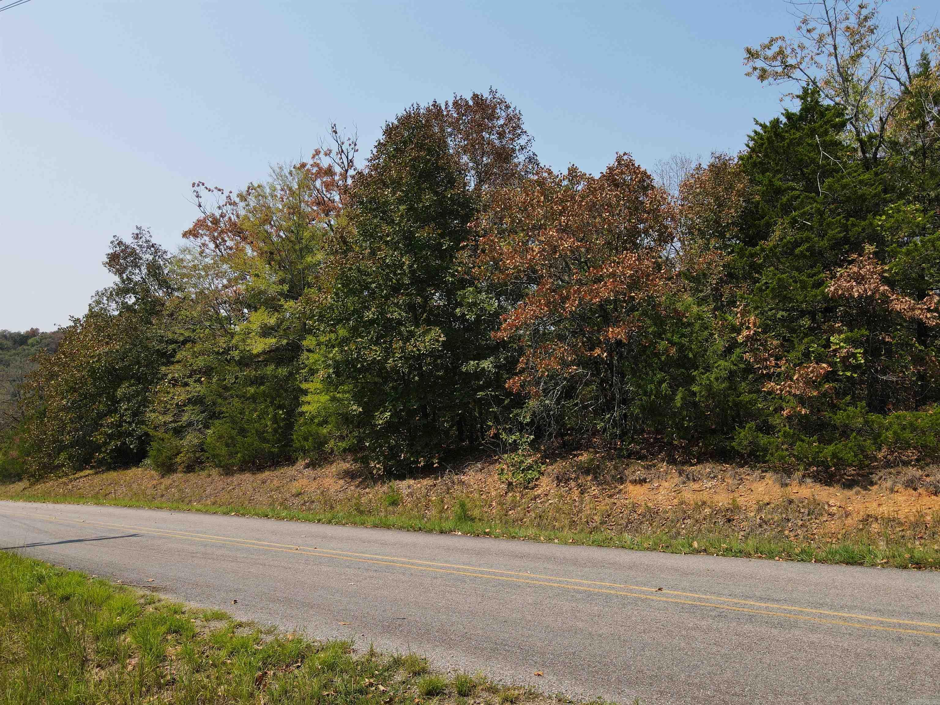 2.5 Acres Turkey Mountain Road Property Photo 3