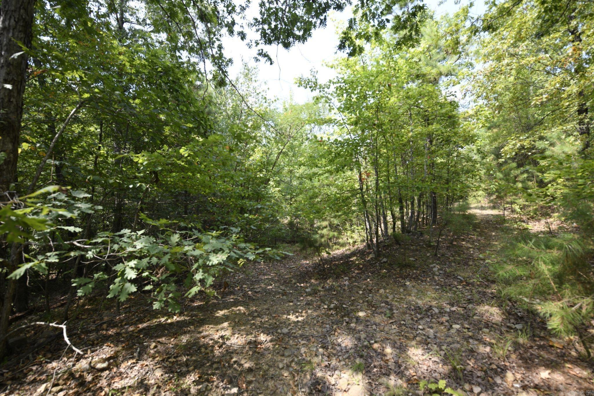 405 Center Street Property Photo 14