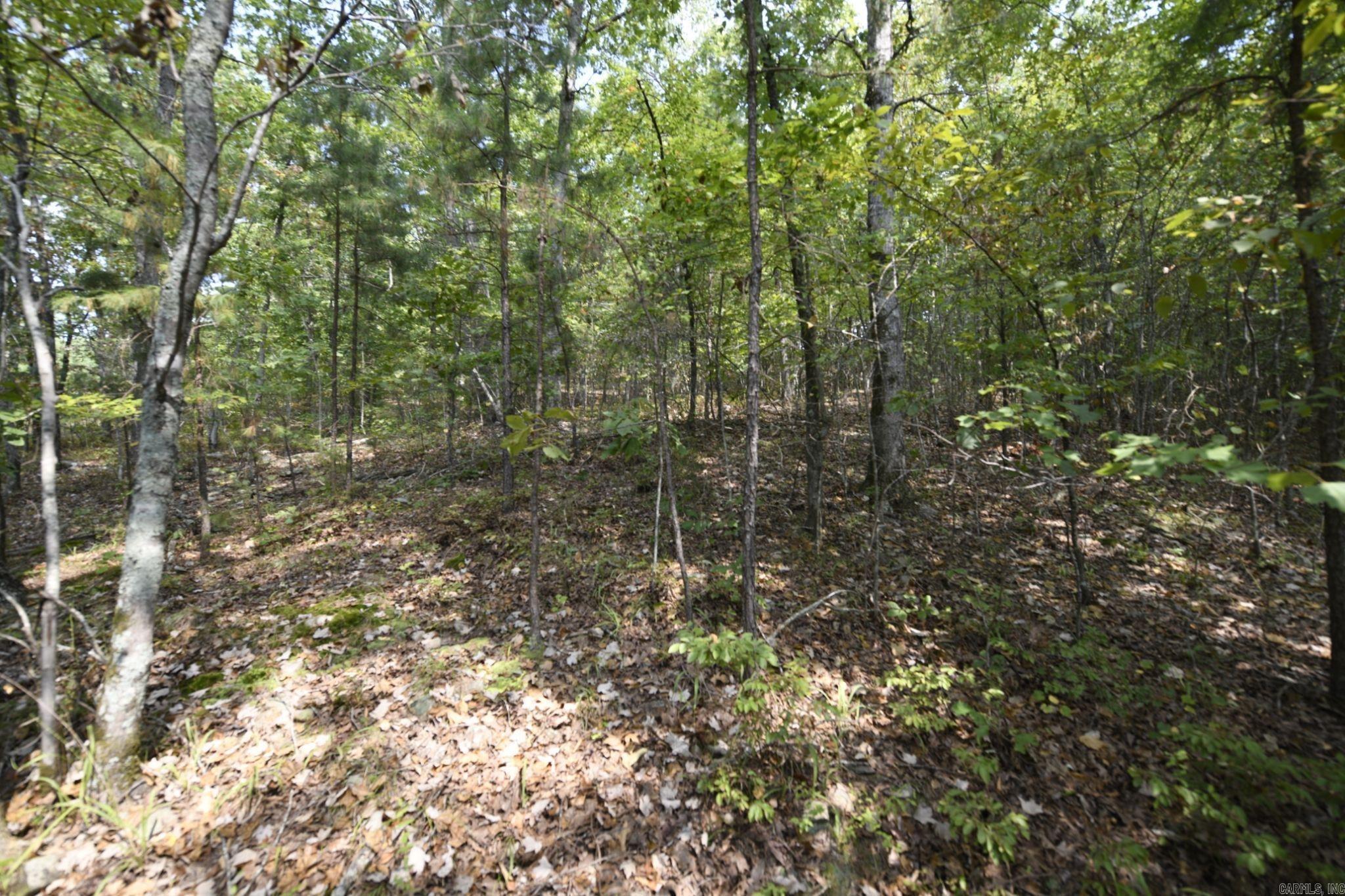 405 Center Street Property Photo 17