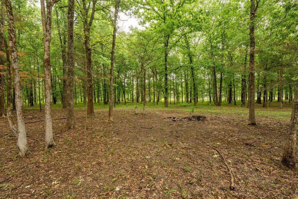 536 Old Railroad Road Property Photo 37