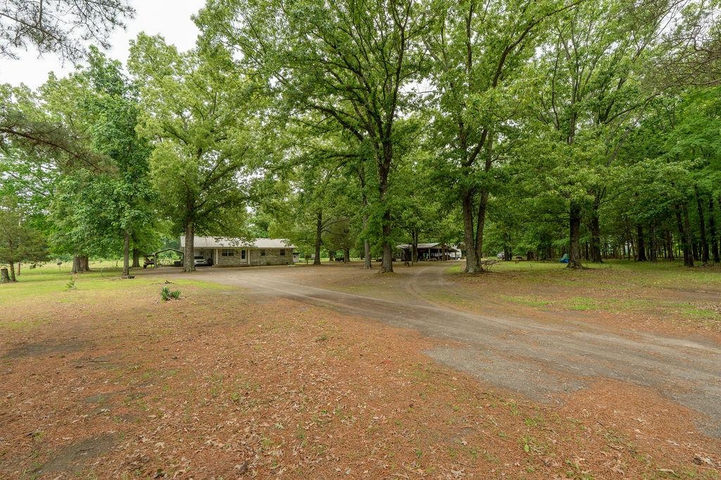 536 Old Railroad Road Property Photo 44