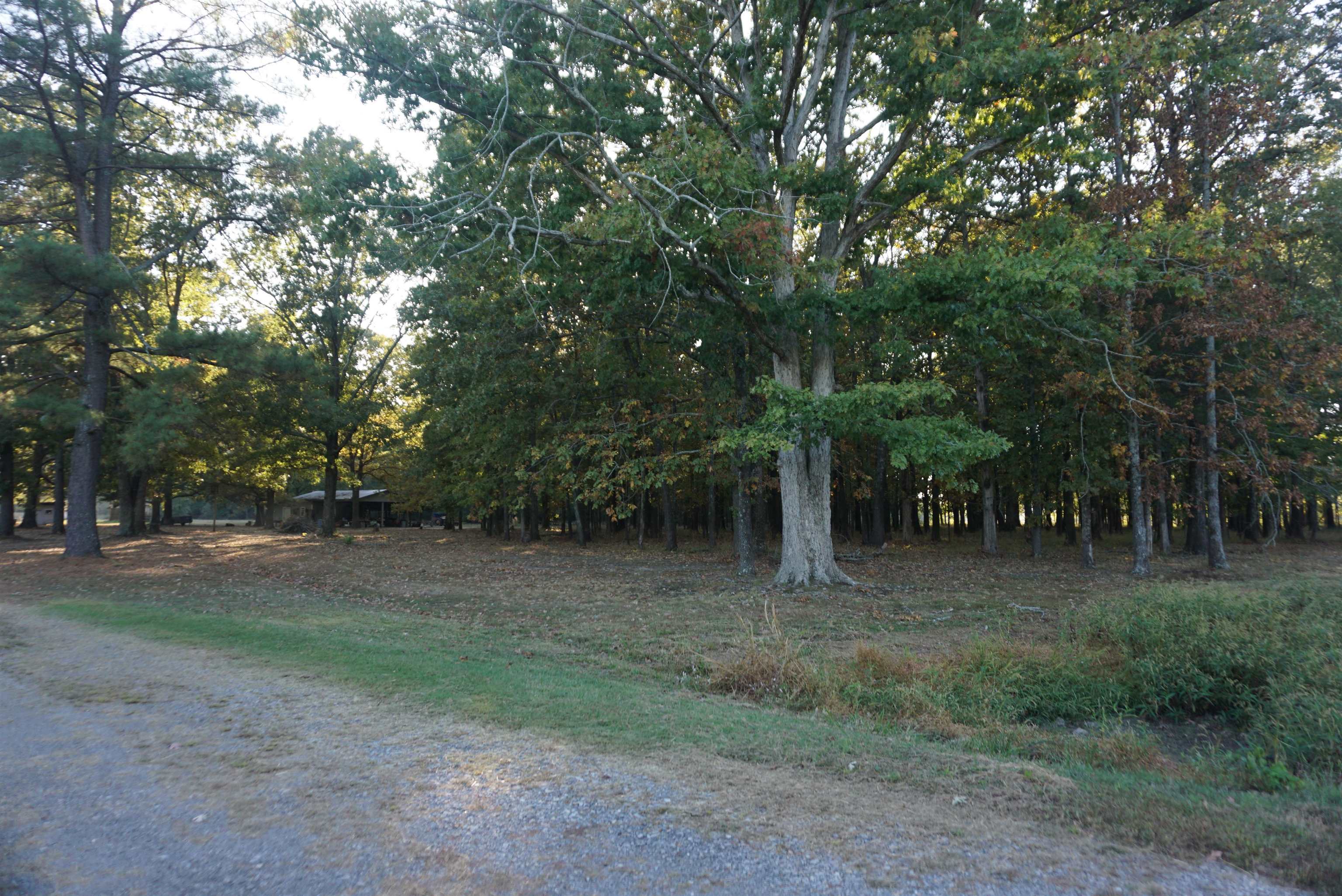 536 Old Railroad Road Property Photo 49