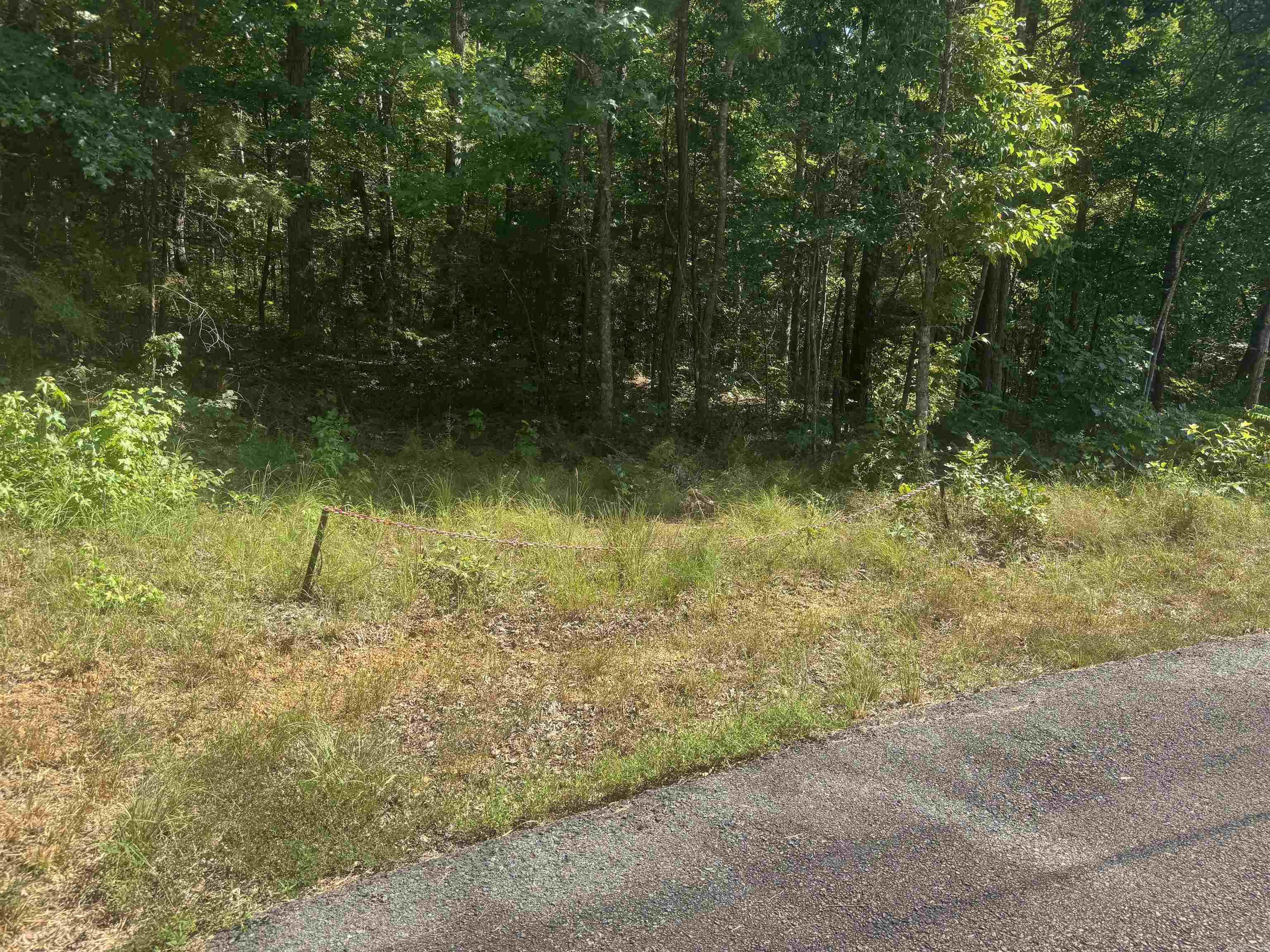 0 White Street Property Photo 20