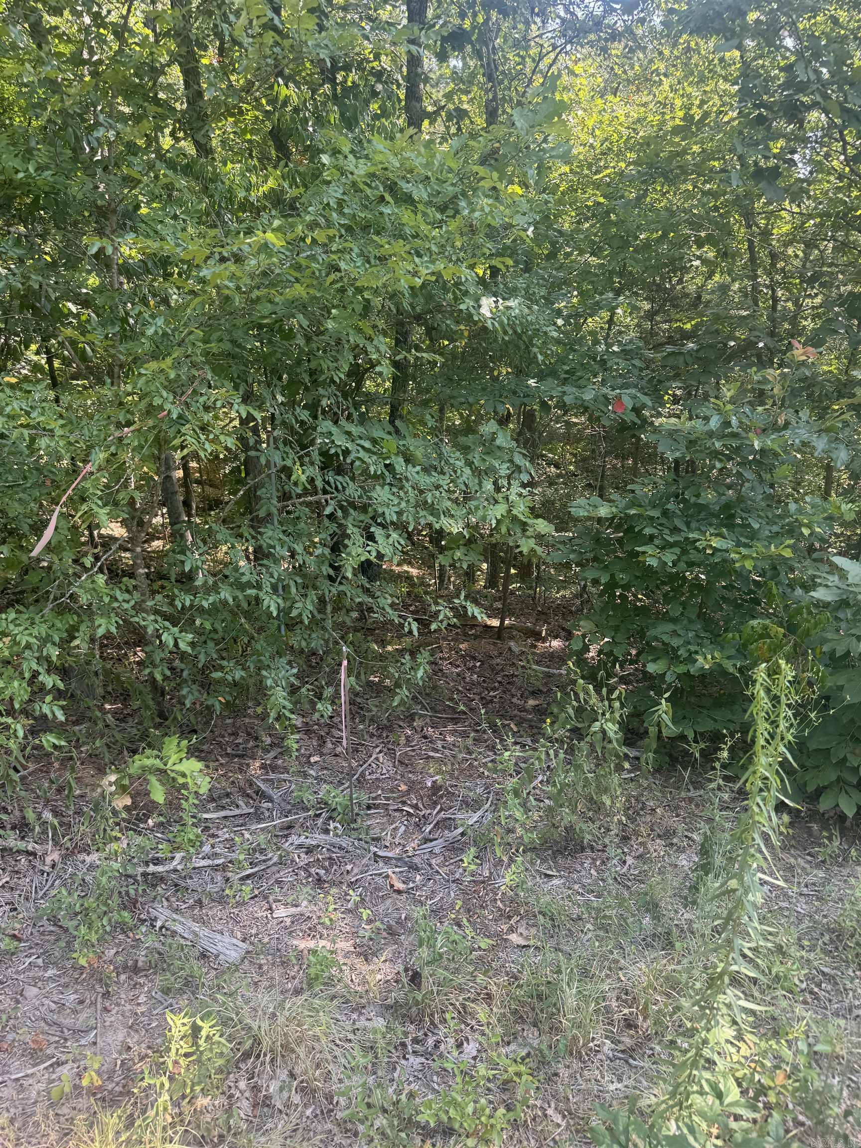 0 White Street Property Photo 21