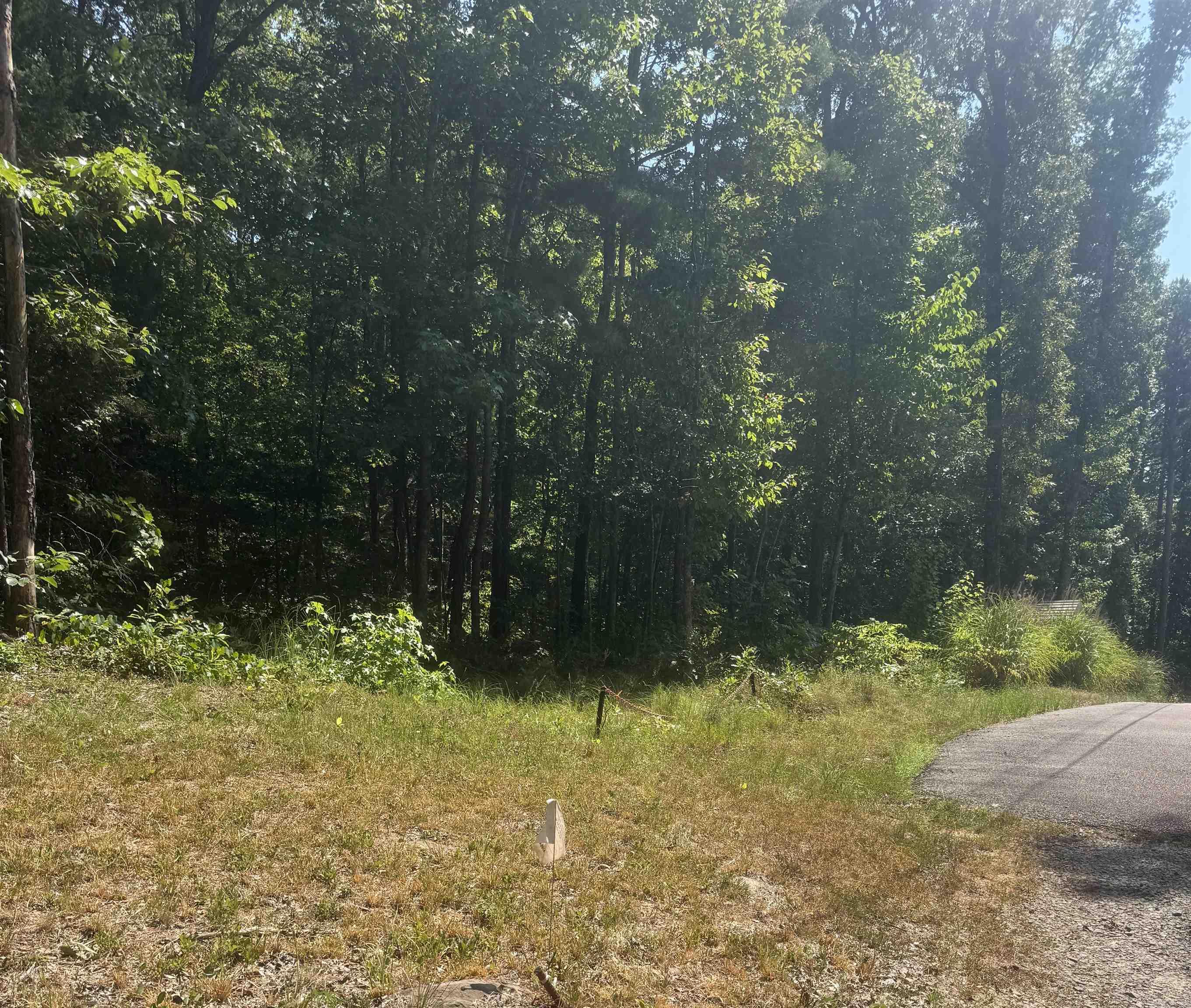0 White Street Property Photo 22