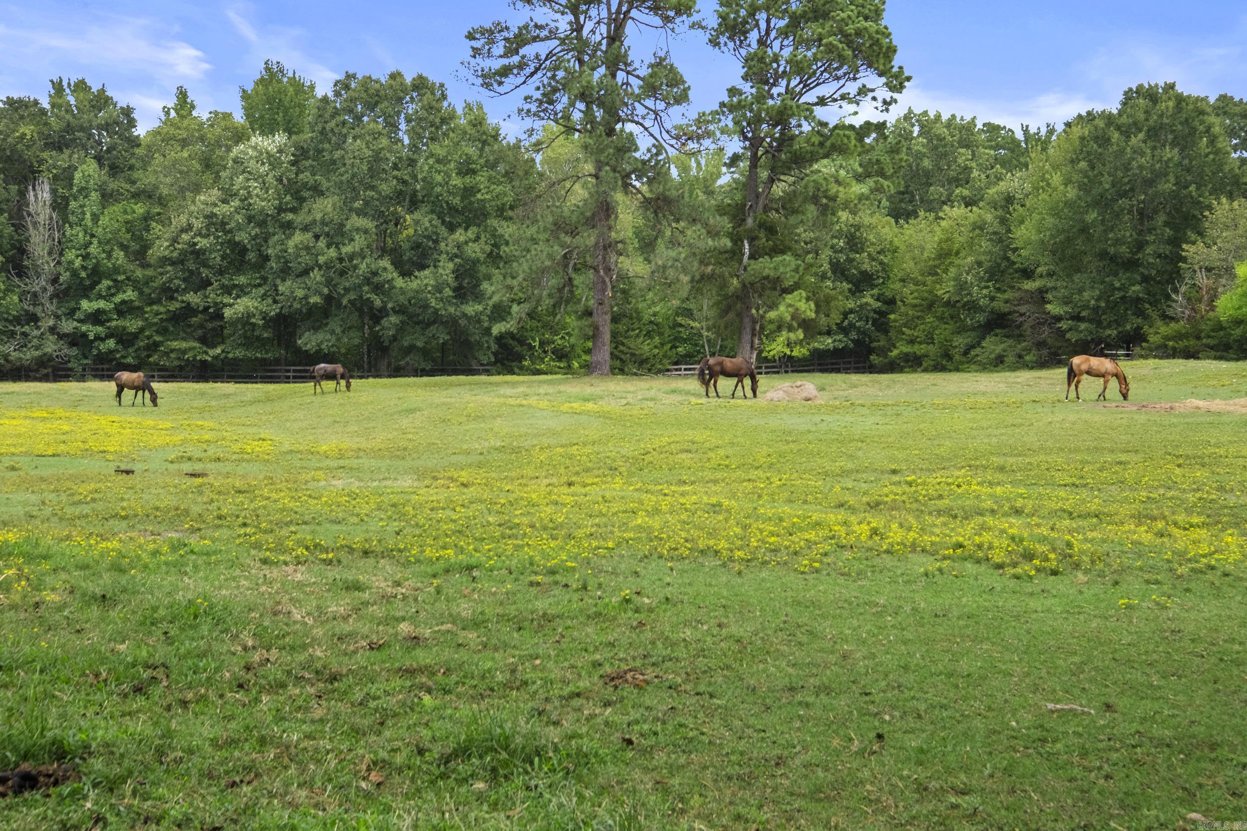 3040 Campground Road Property Photo 27