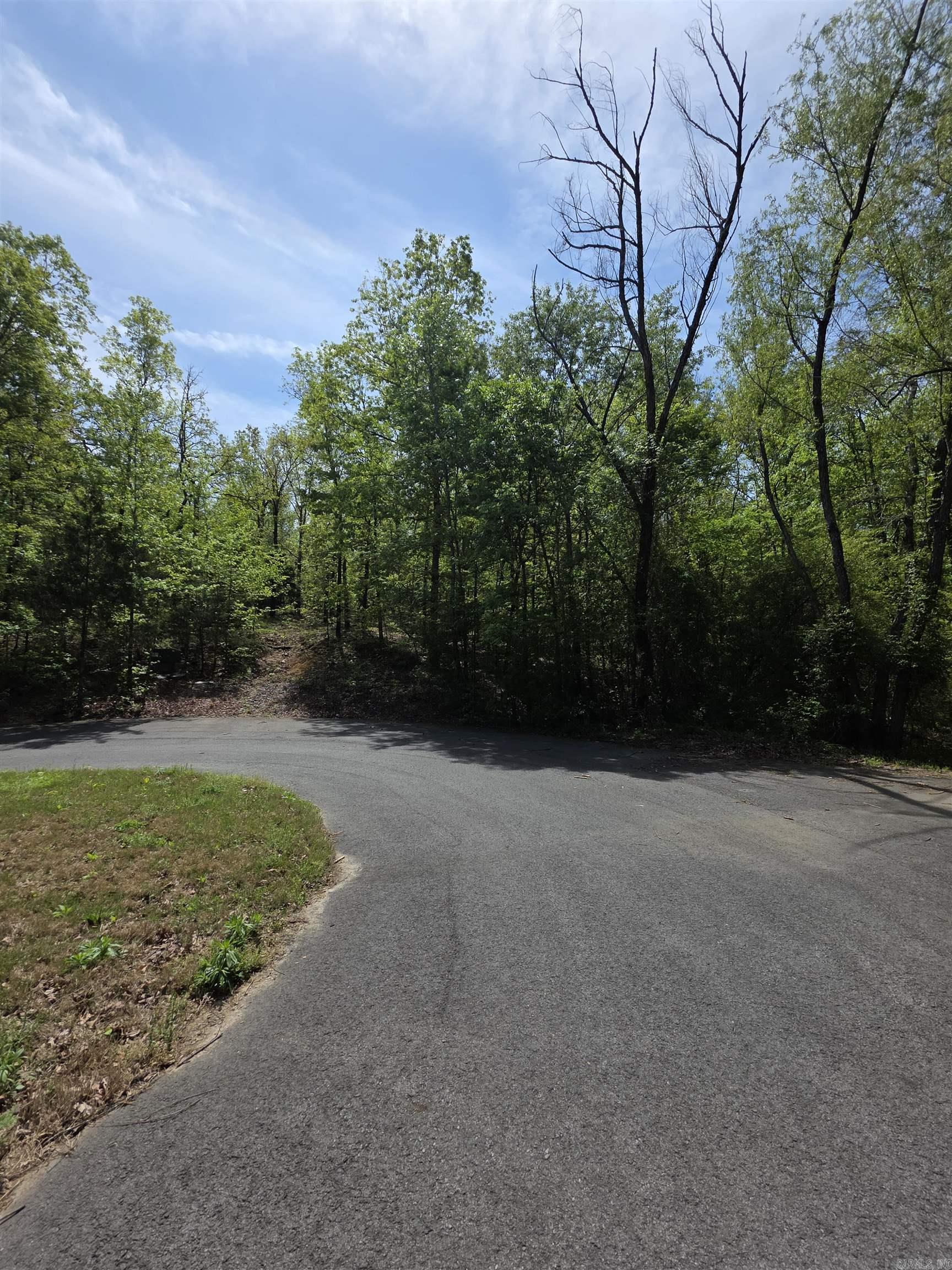 00 Strawberry Cove Property Photo 3