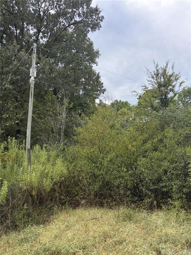 10267 Backwood Lane Property Photo 6