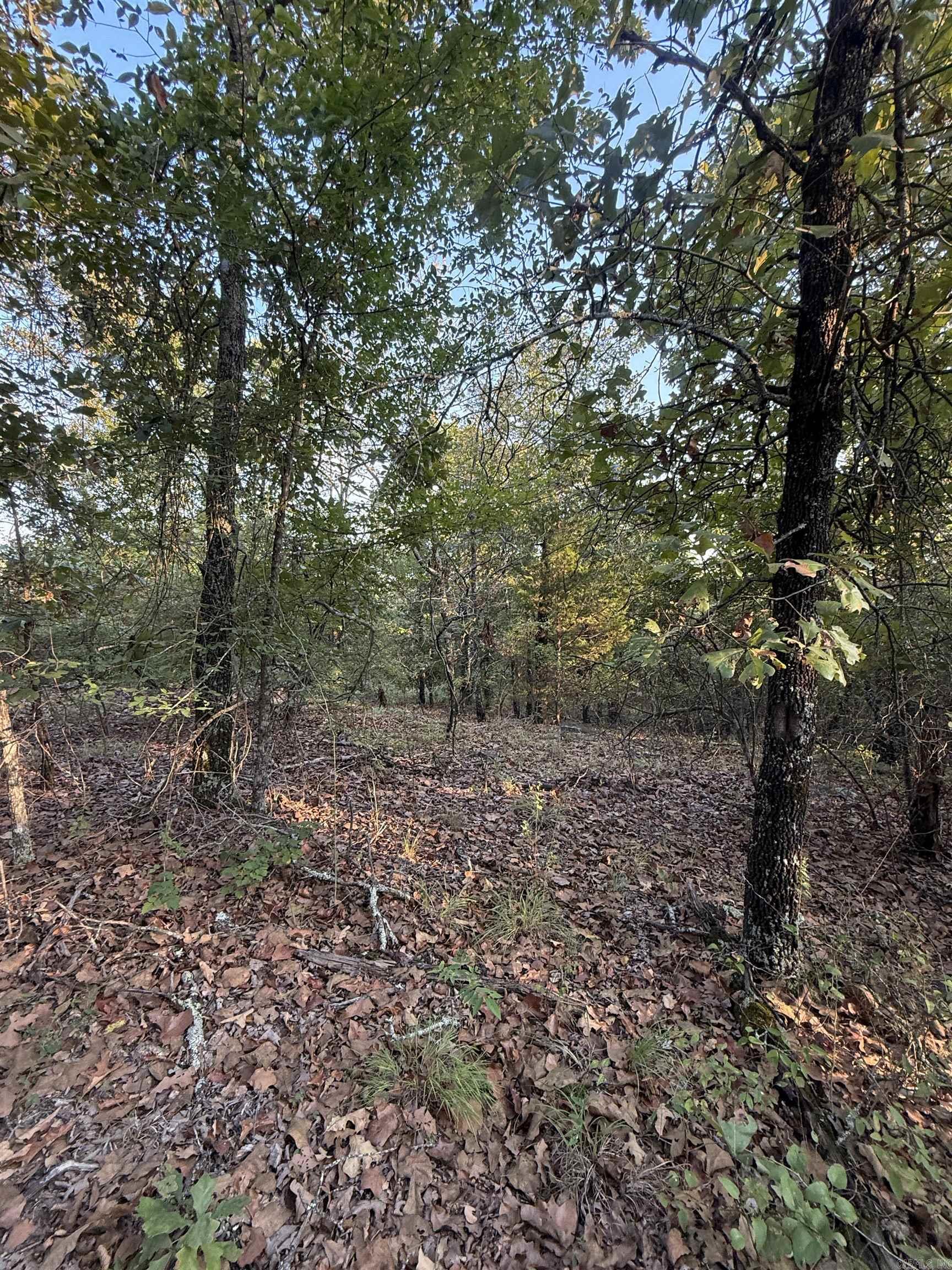 64 Madison Lane Property Photo 3
