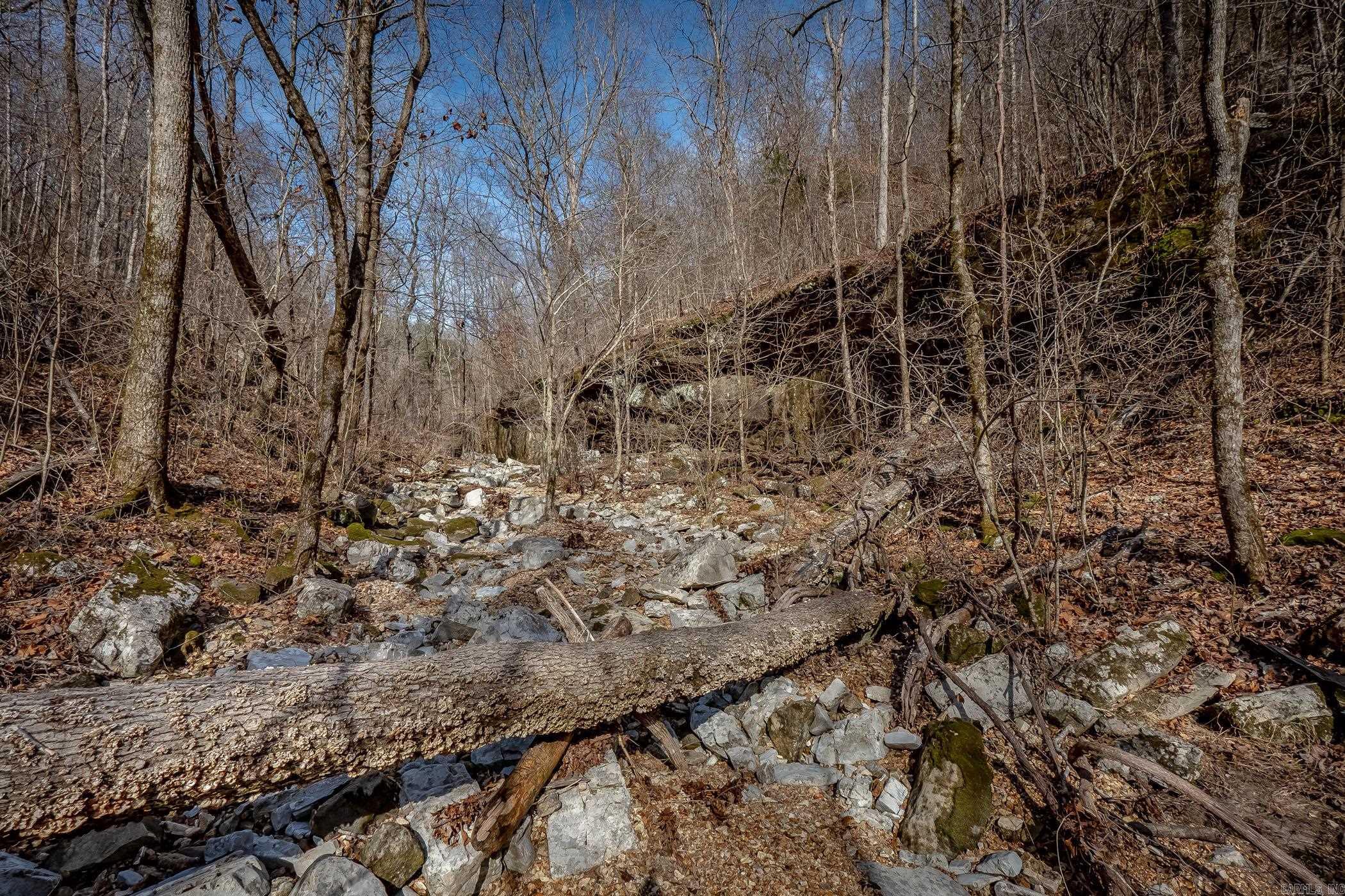 00 Bear Skin Drive Property Photo 12