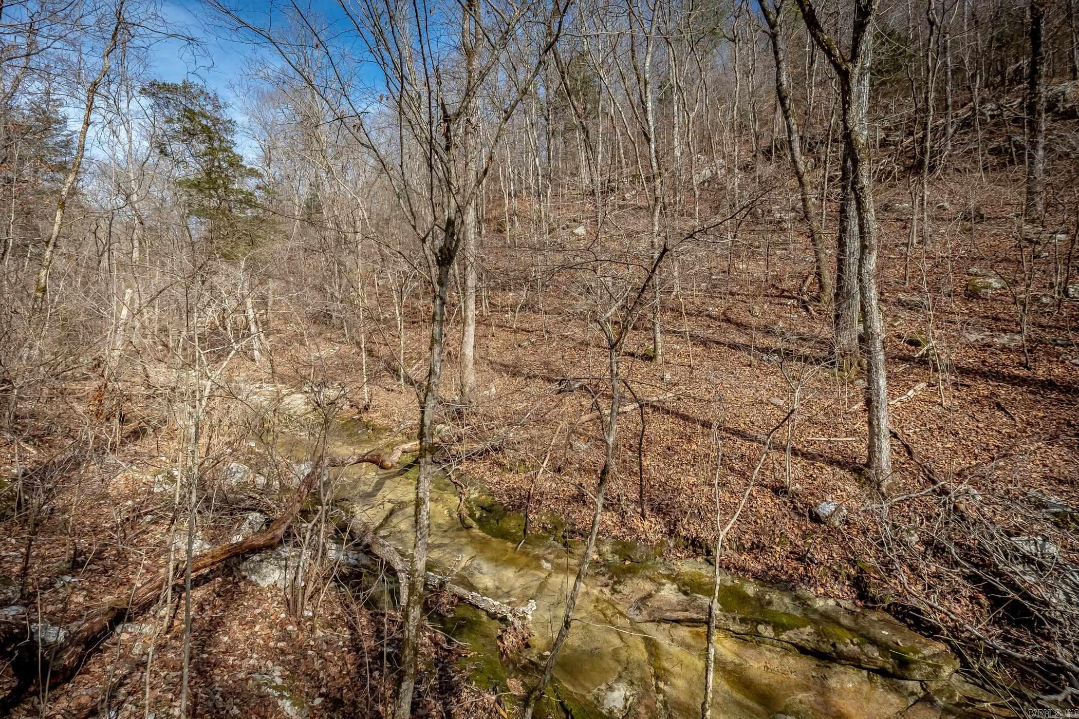 00 Bear Skin Drive Property Photo 26