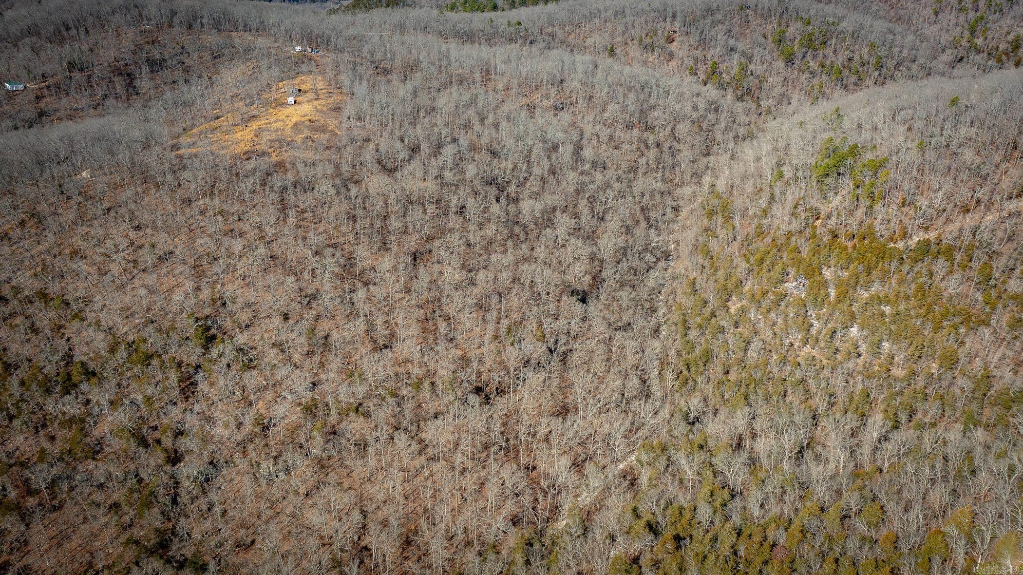 00 Bear Skin Drive Property Photo 28