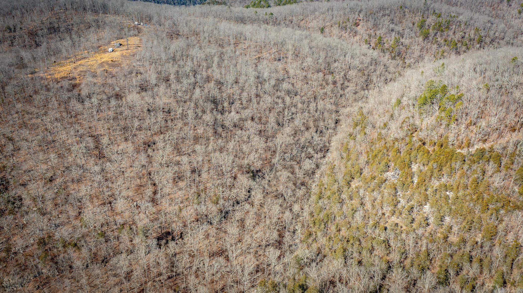 00 Bear Skin Drive Property Photo 29