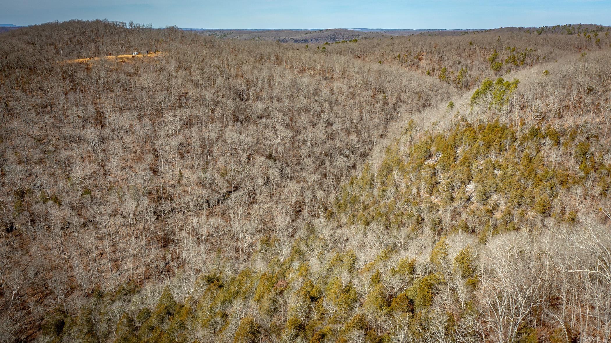 00 Bear Skin Drive Property Photo 30
