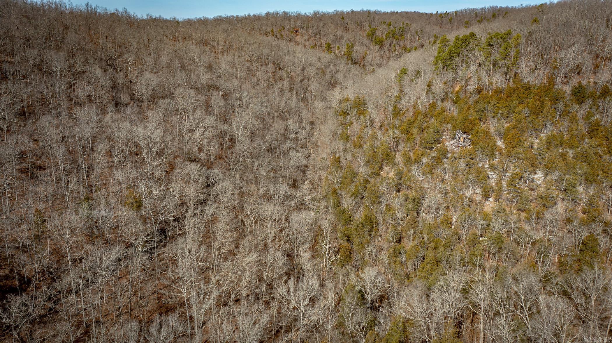 00 Bear Skin Drive Property Photo 31