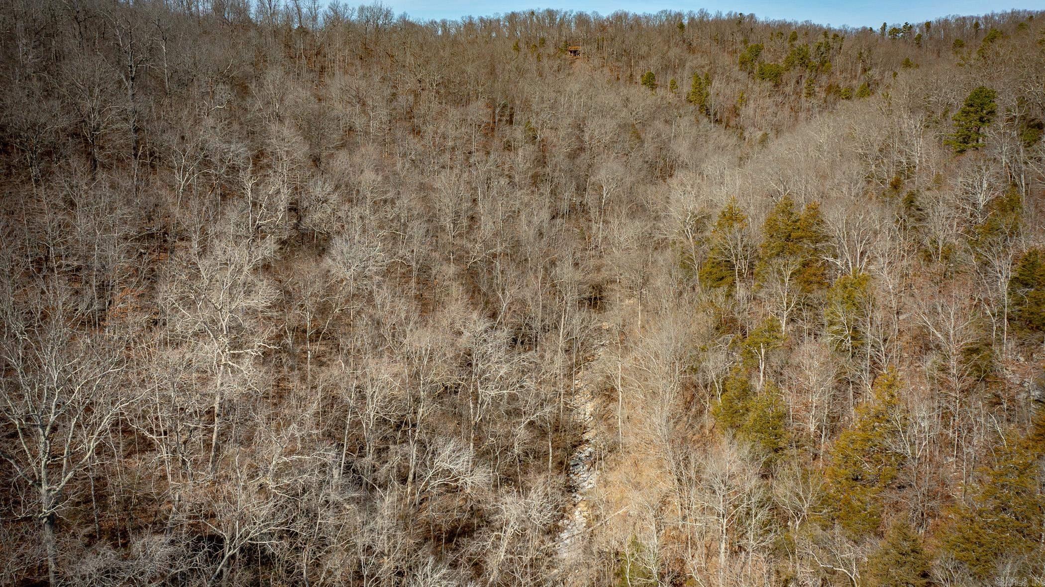 00 Bear Skin Drive Property Photo 32