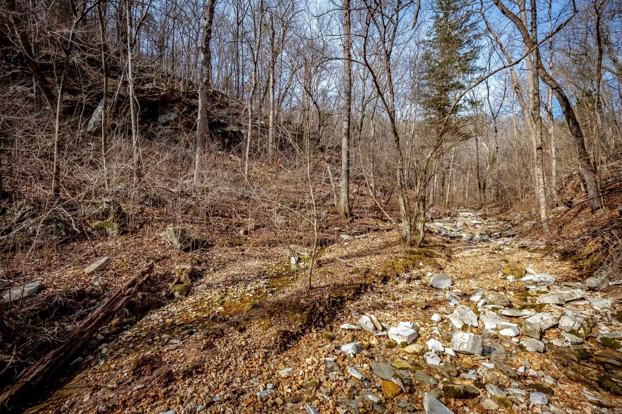 00 Bear Skin Drive Property Photo 48