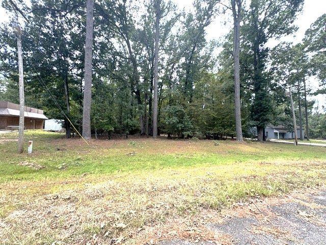 00 Roberts Drive Property Photo 2