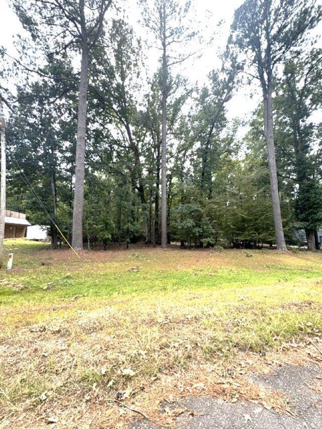00 Roberts Drive Property Photo 3