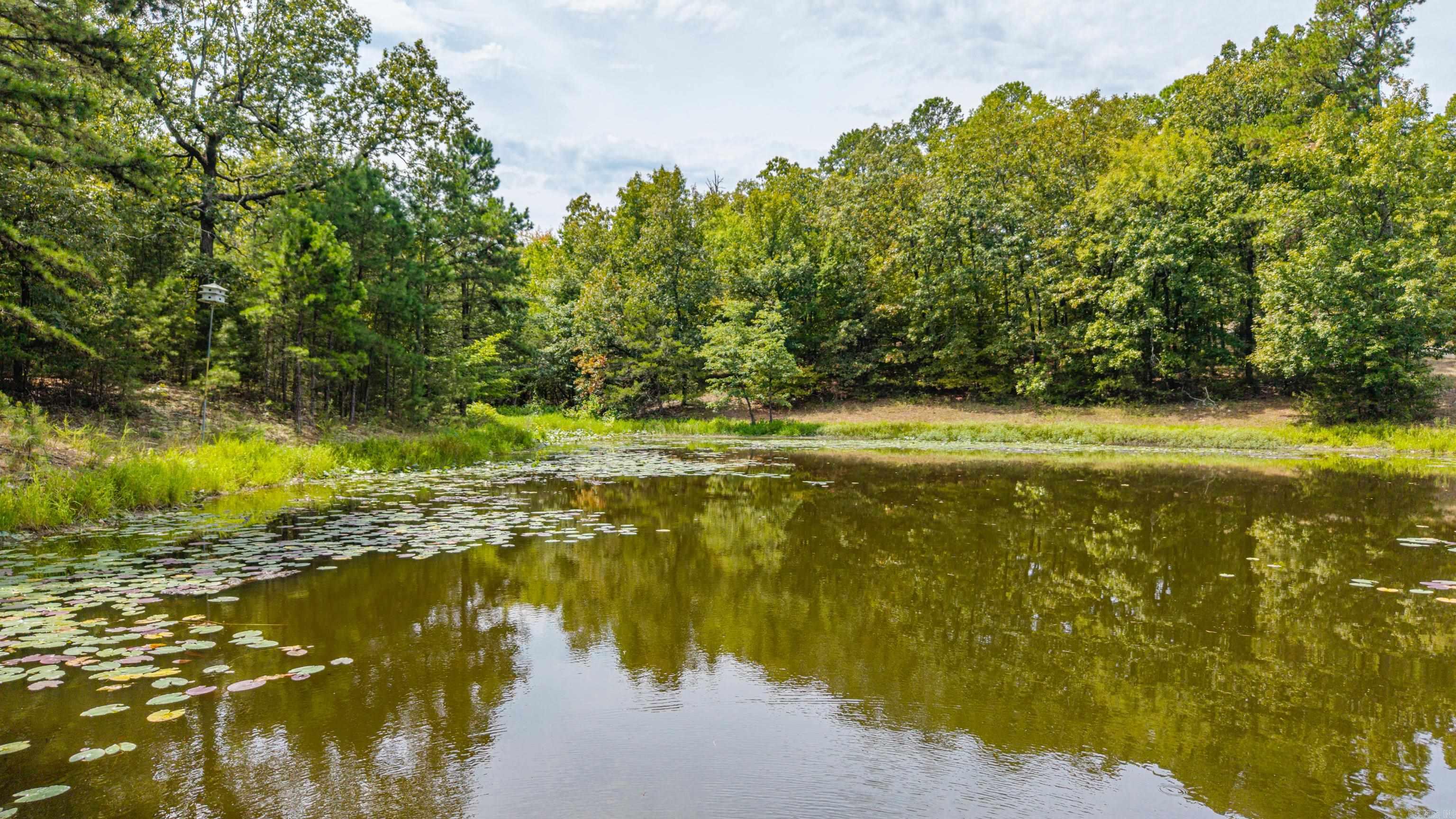 988 Tabor Mountain Road Property Photo 4