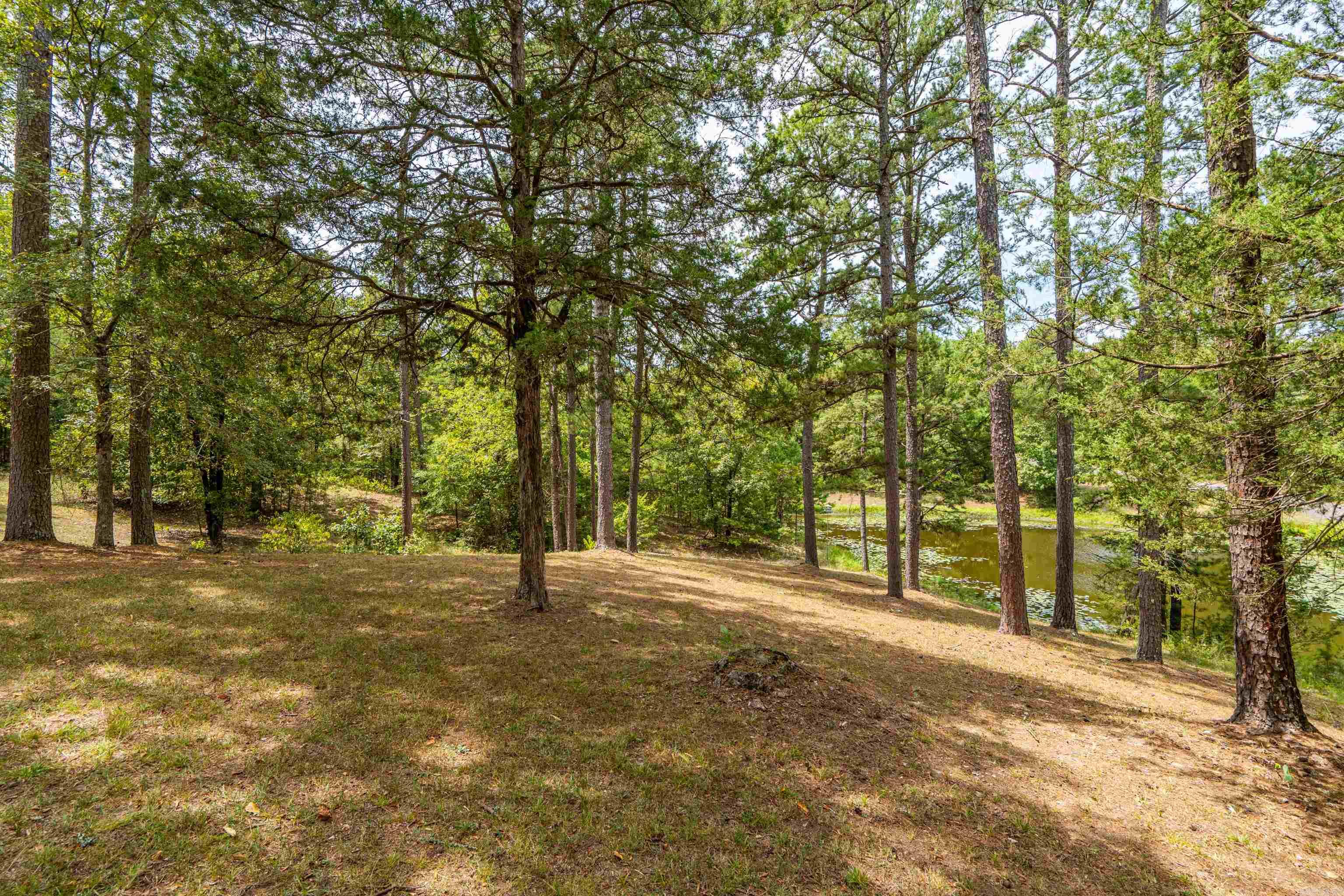 988 Tabor Mountain Road Property Photo 10
