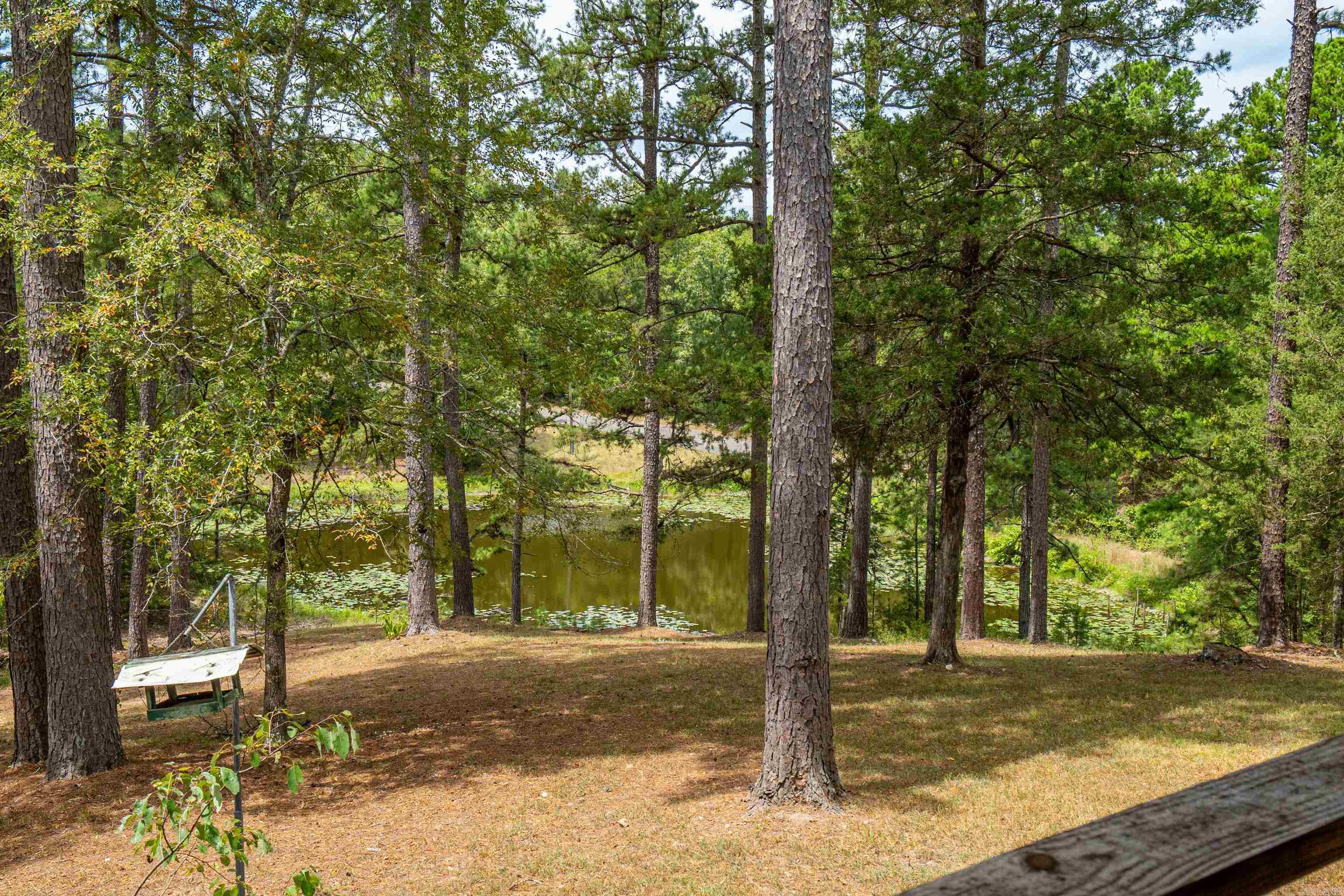 988 Tabor Mountain Road Property Photo 14